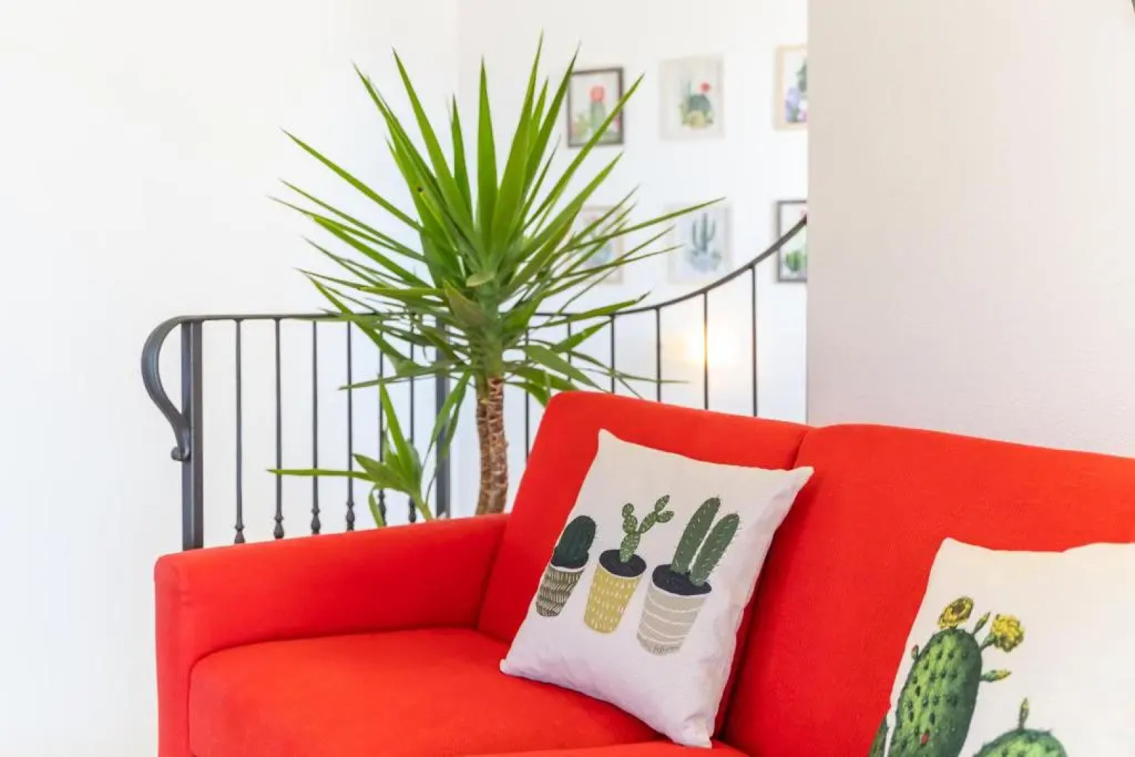 Welcomely - Dei Mille - La vigna 3