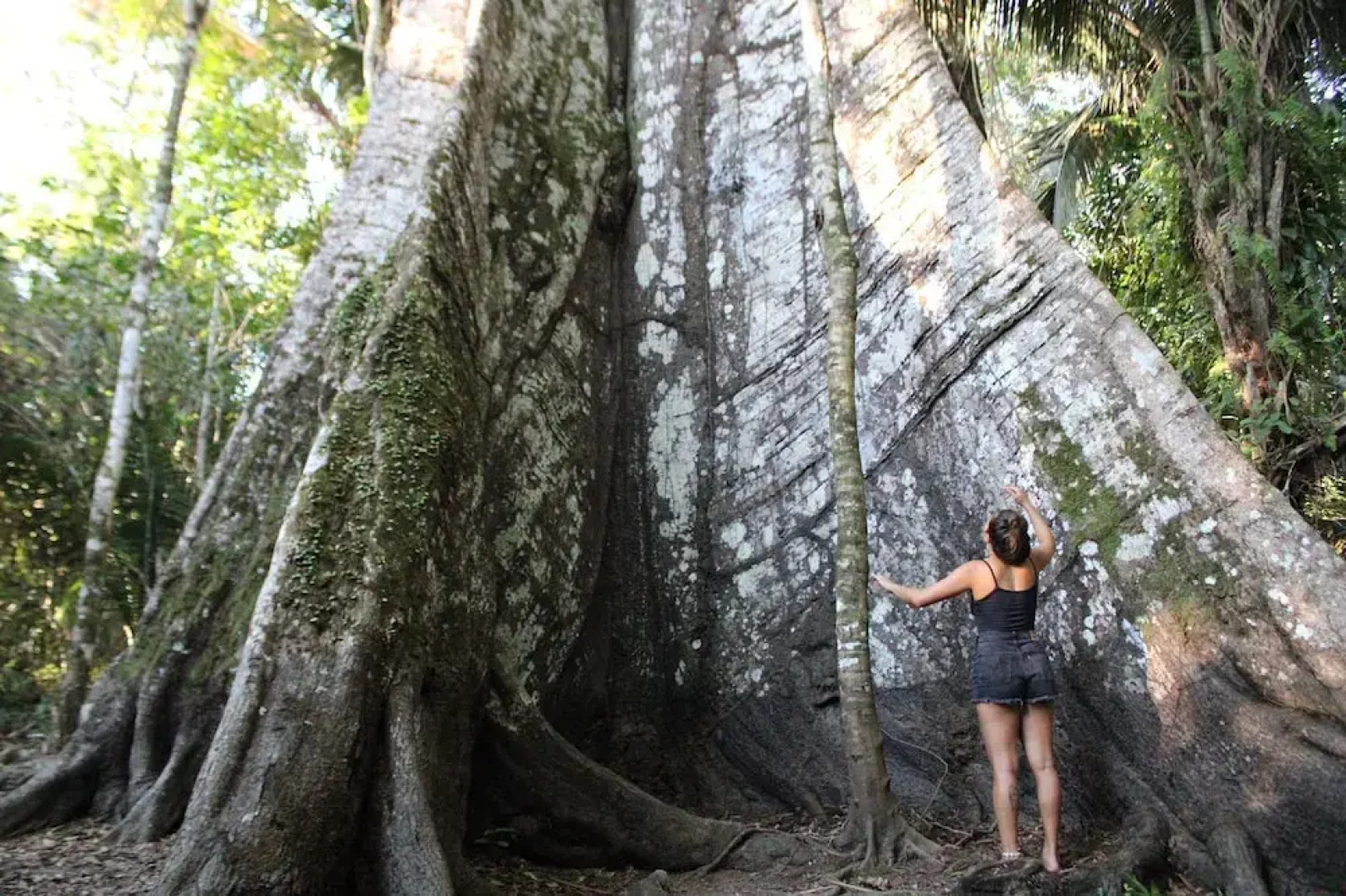 Pousada Cabana Nativa Paraíso