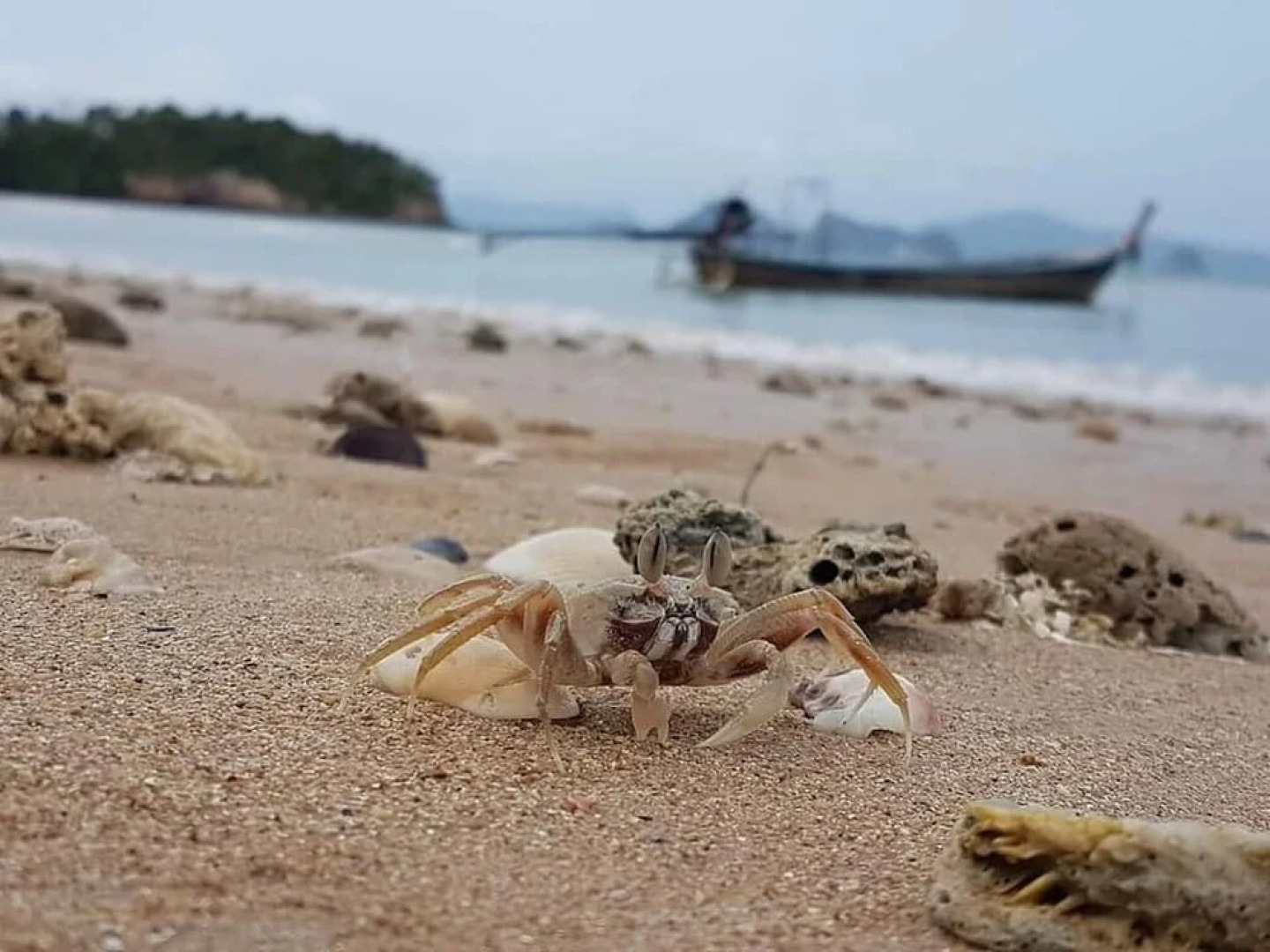 Three Monkeys Bungalows Koh Yao Noi