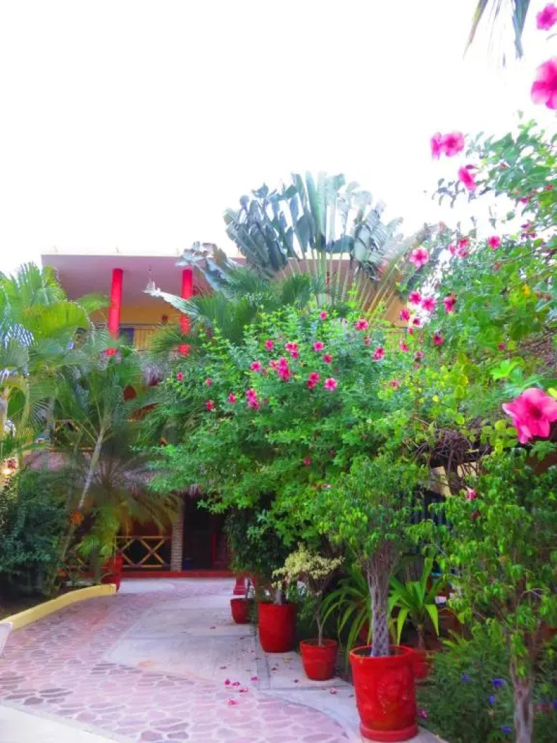 La Cruz Inn