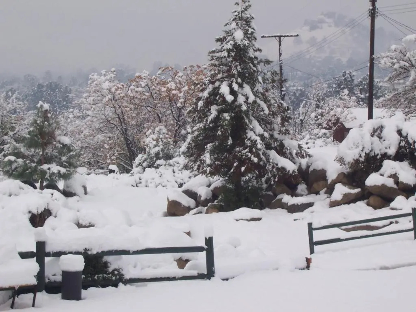 Barewood Inn and Suites