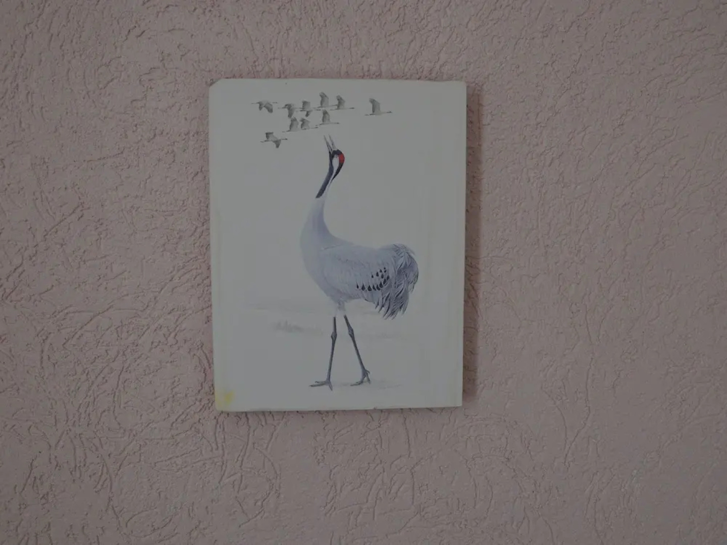 Zum Weissen Rï¿½ssel