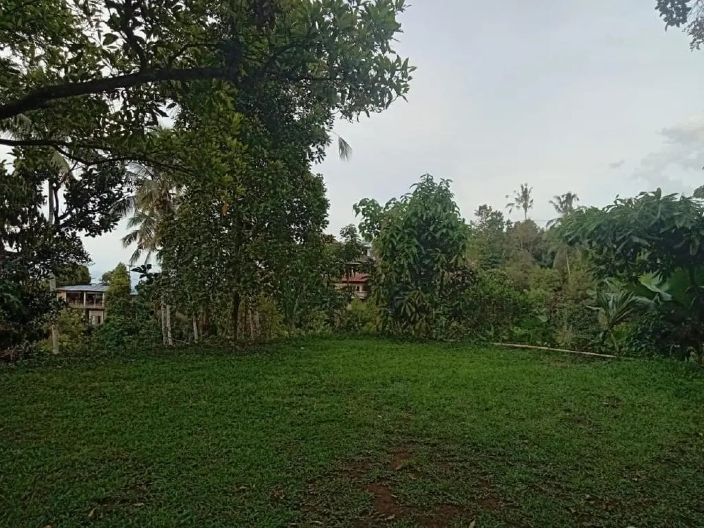 Sekumpul Local House