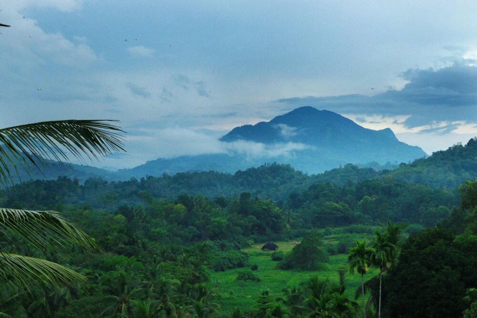 Peak View Holiday Resort