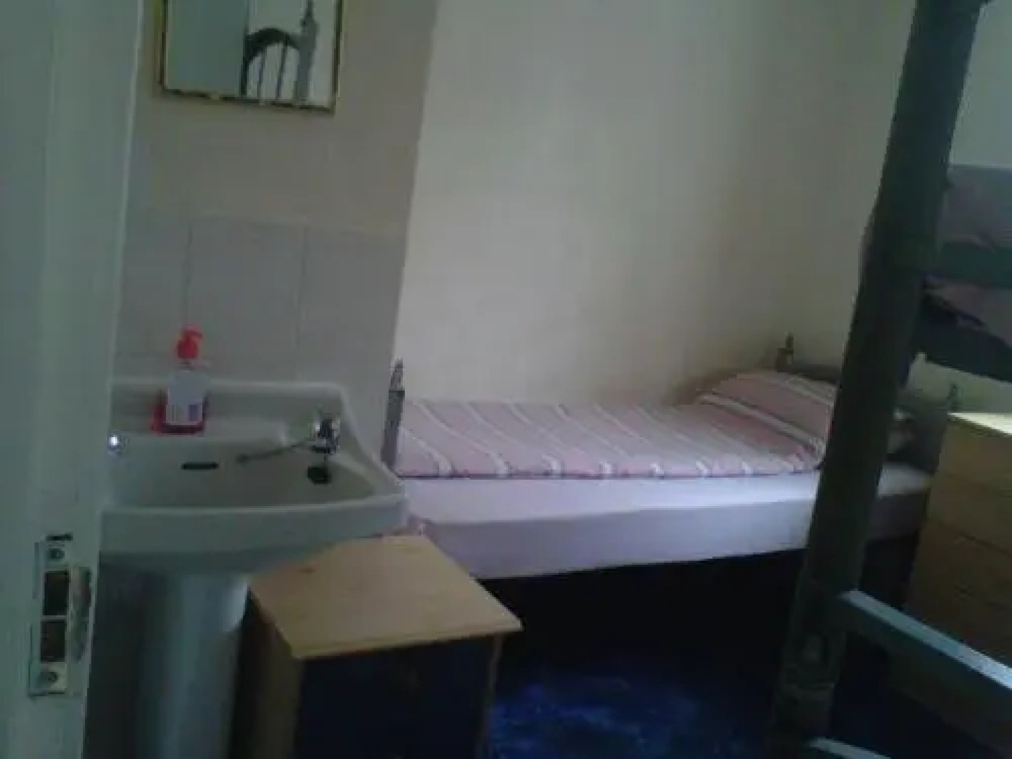 The Satter International