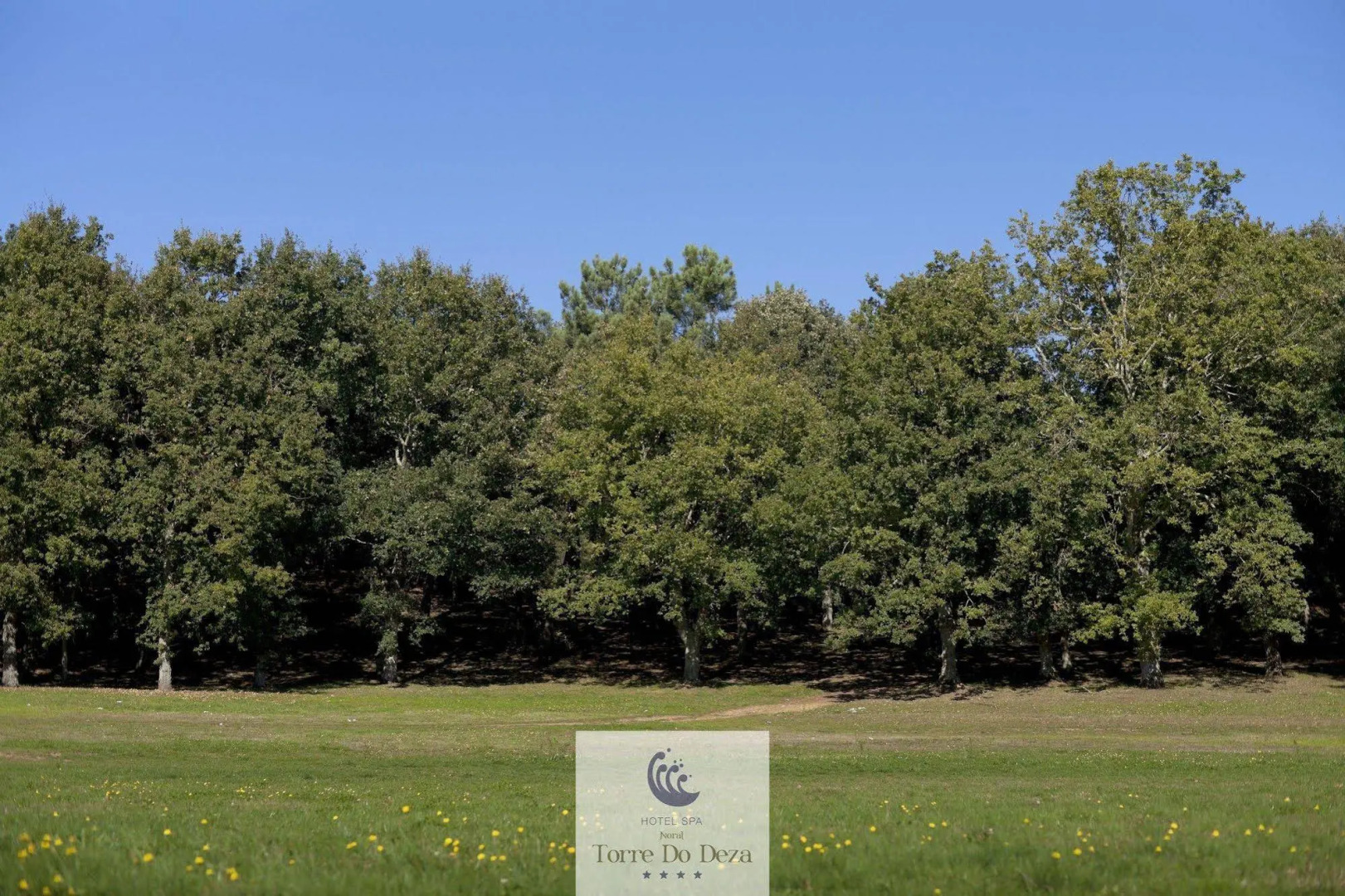 Hotel Spa Norat Torre do Deza