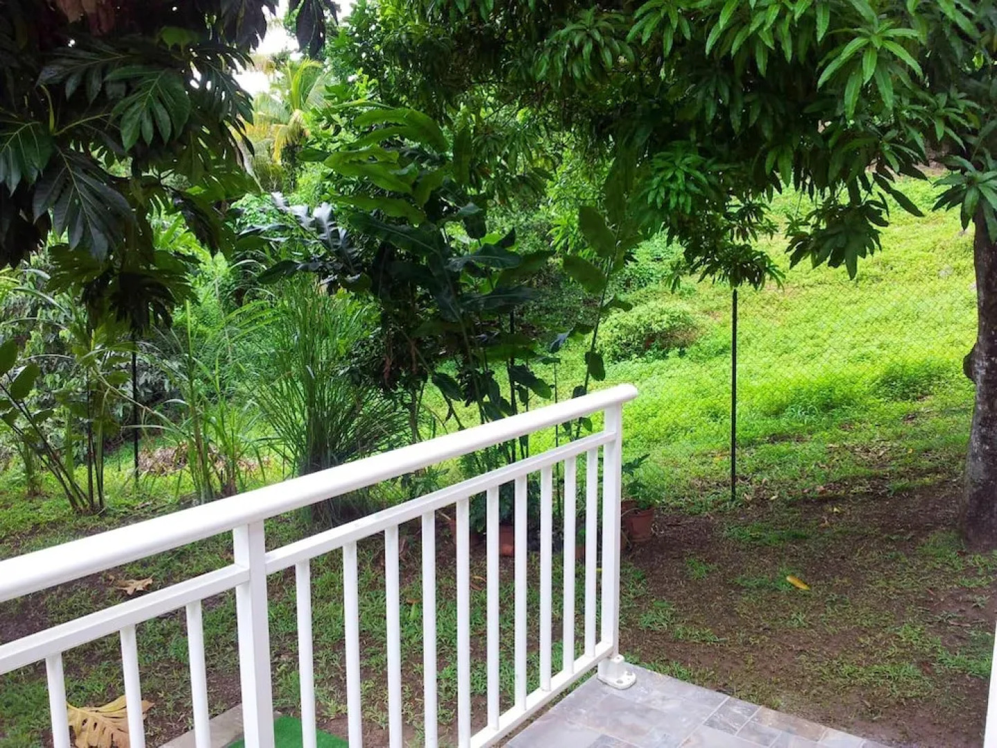 Studio In Petit Bourg With Enclosed Garden 3 Km From The Beach