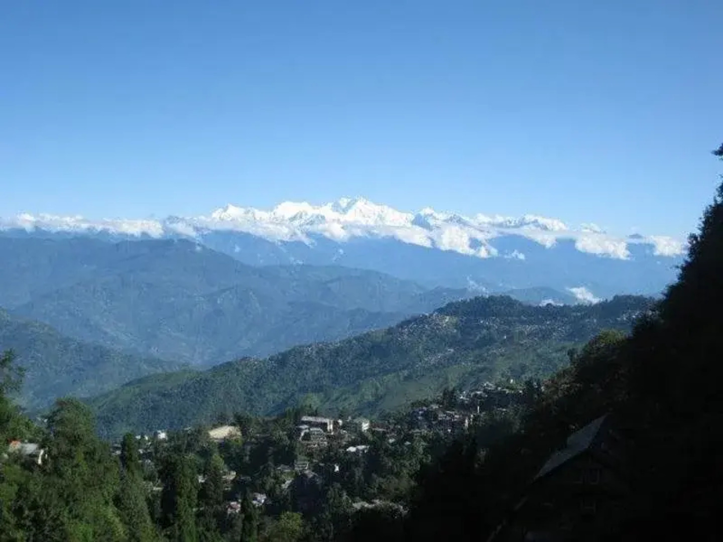 Rhododendron Dell Exoctic Resort - Darjeeling