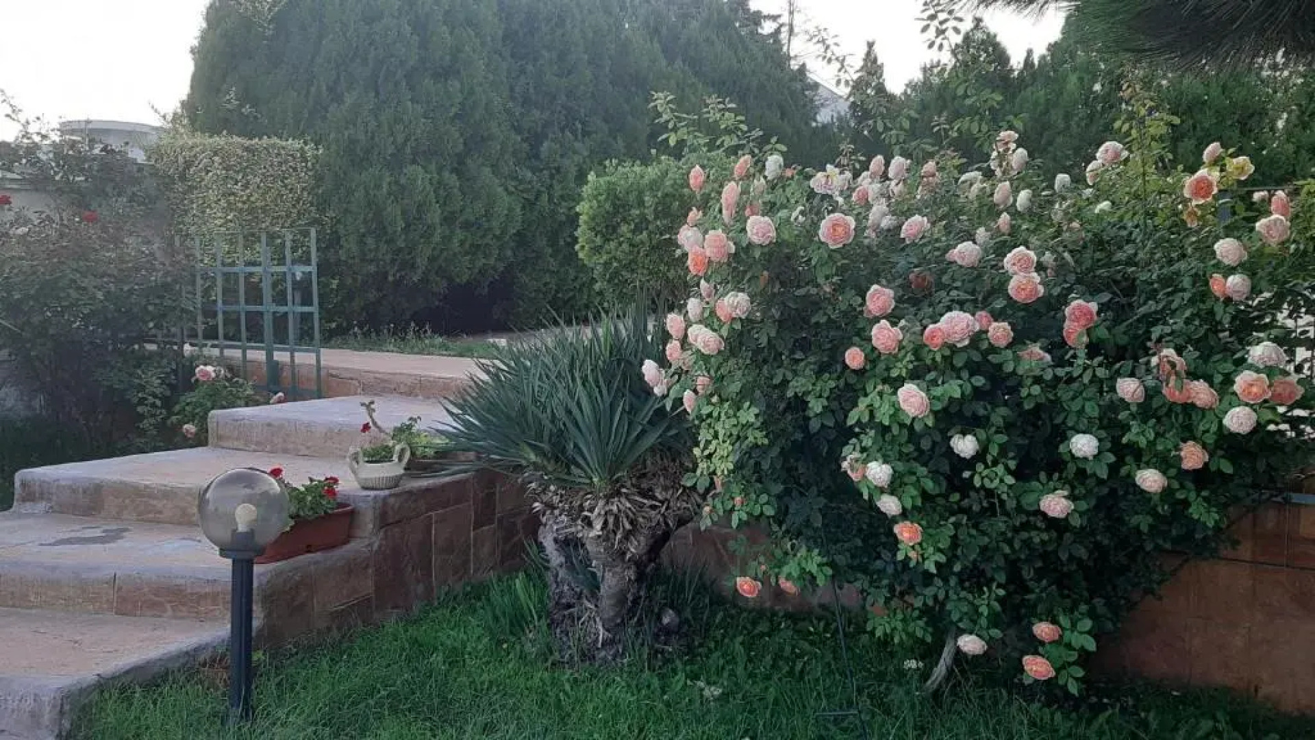 Villa Byala Grape House