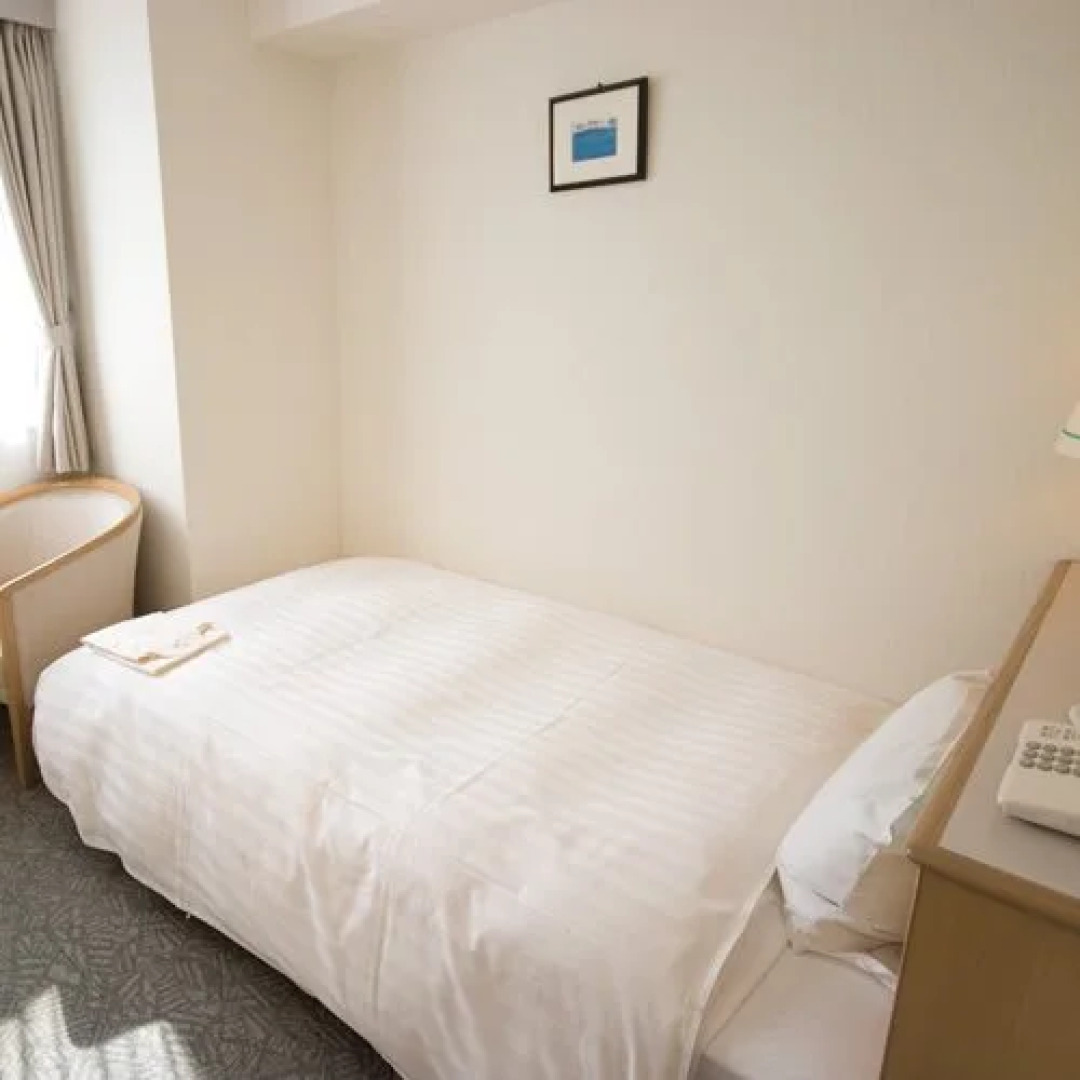 Hotel Park Inn Toyama