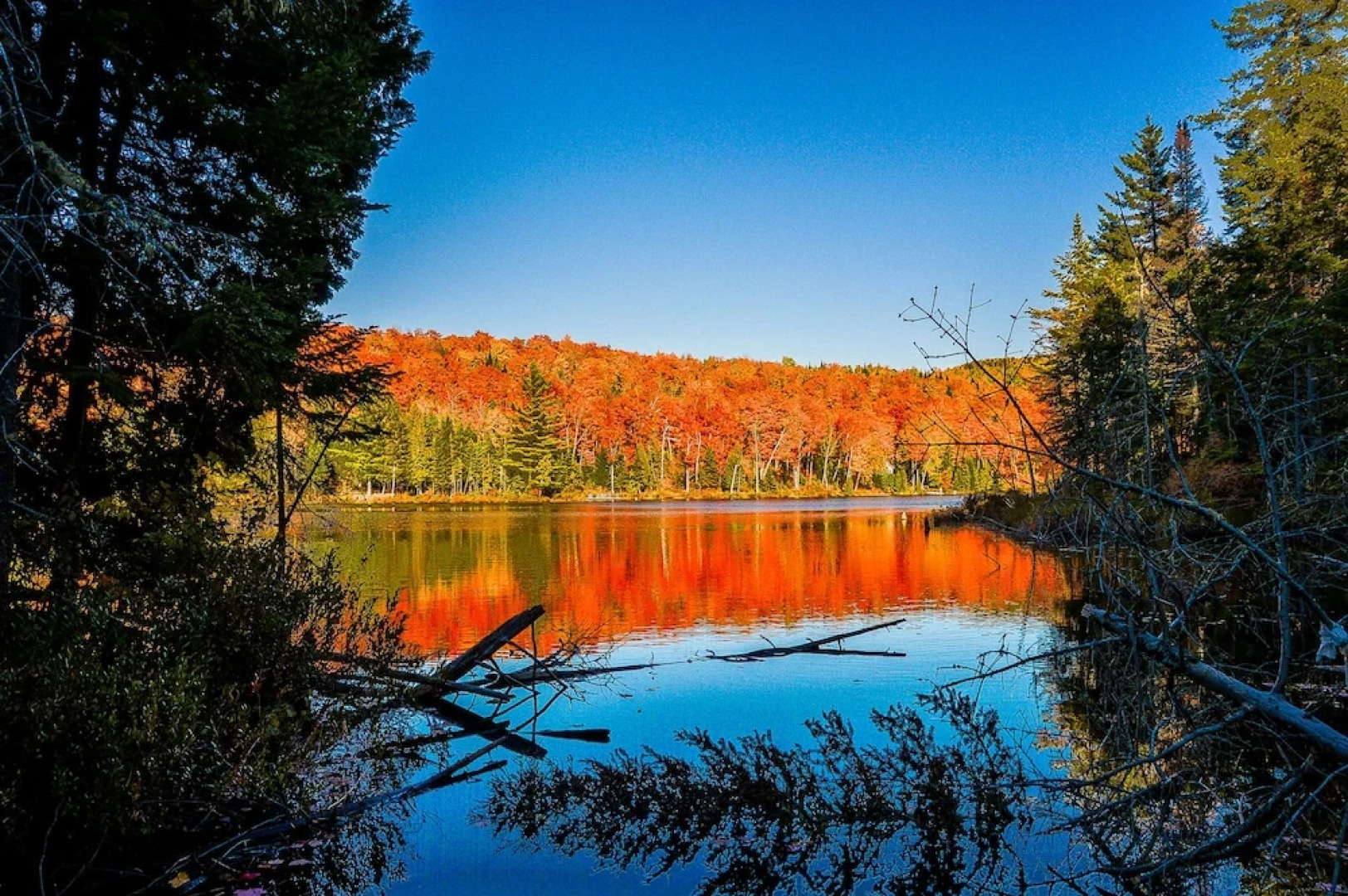 Chalet du Lac Canard