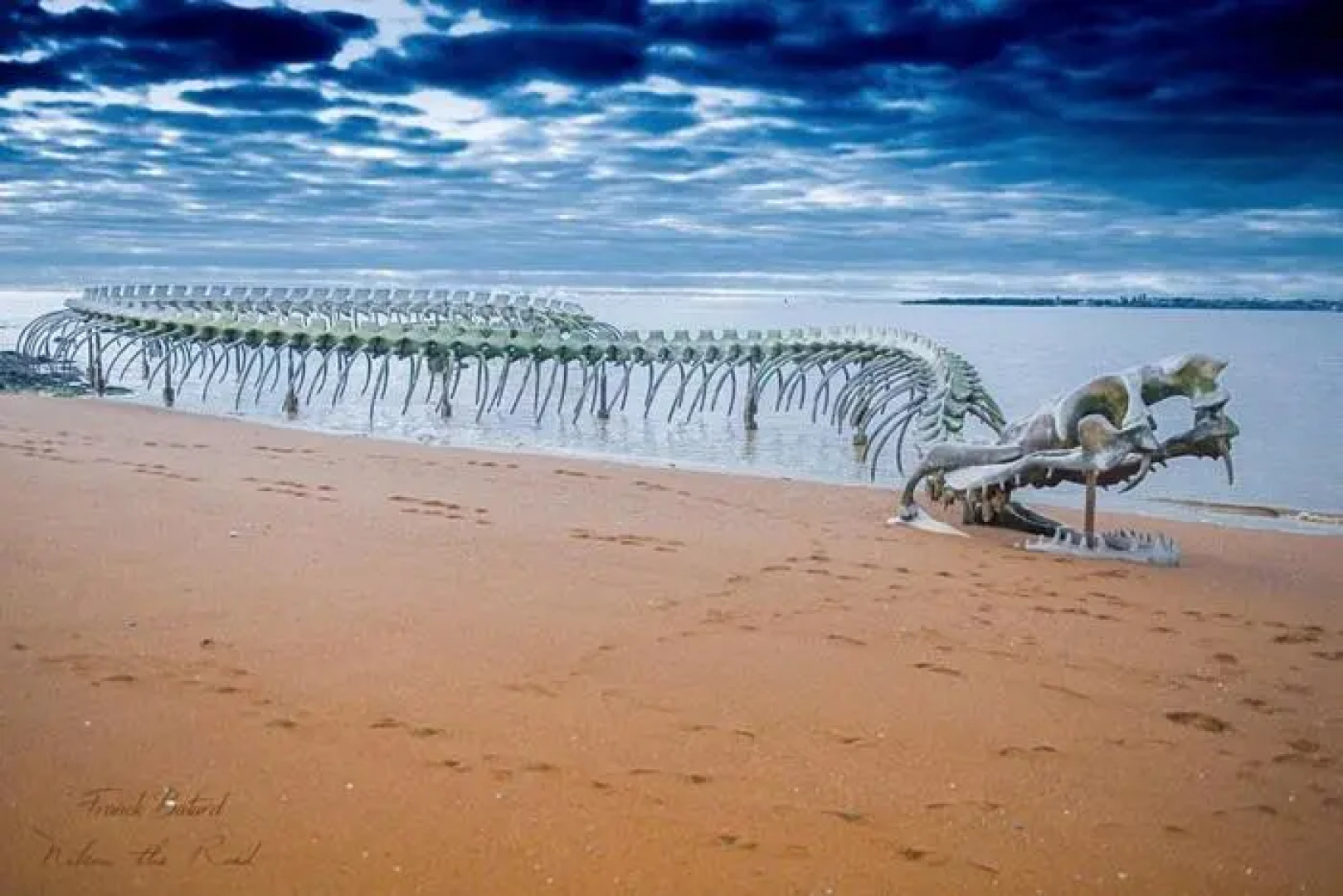 Villa bord de mer avec piscine couverte, bain nordique, salle de jeux.