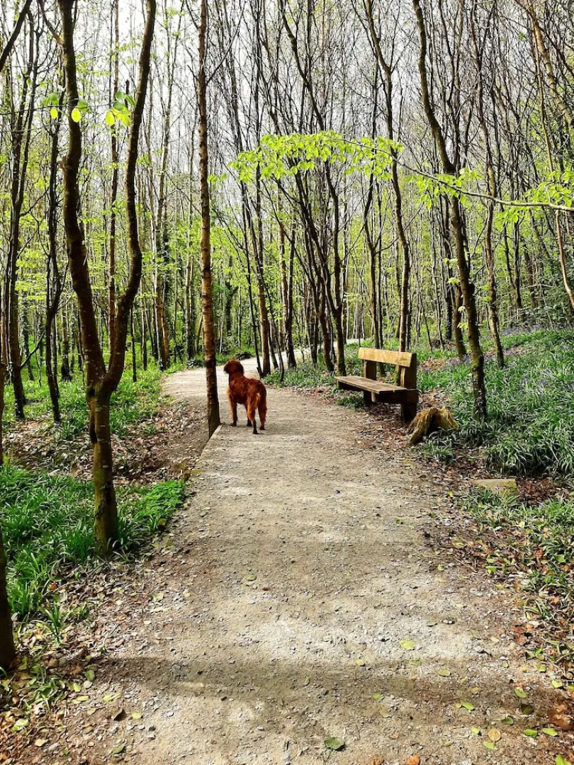 Jackson's Guest House