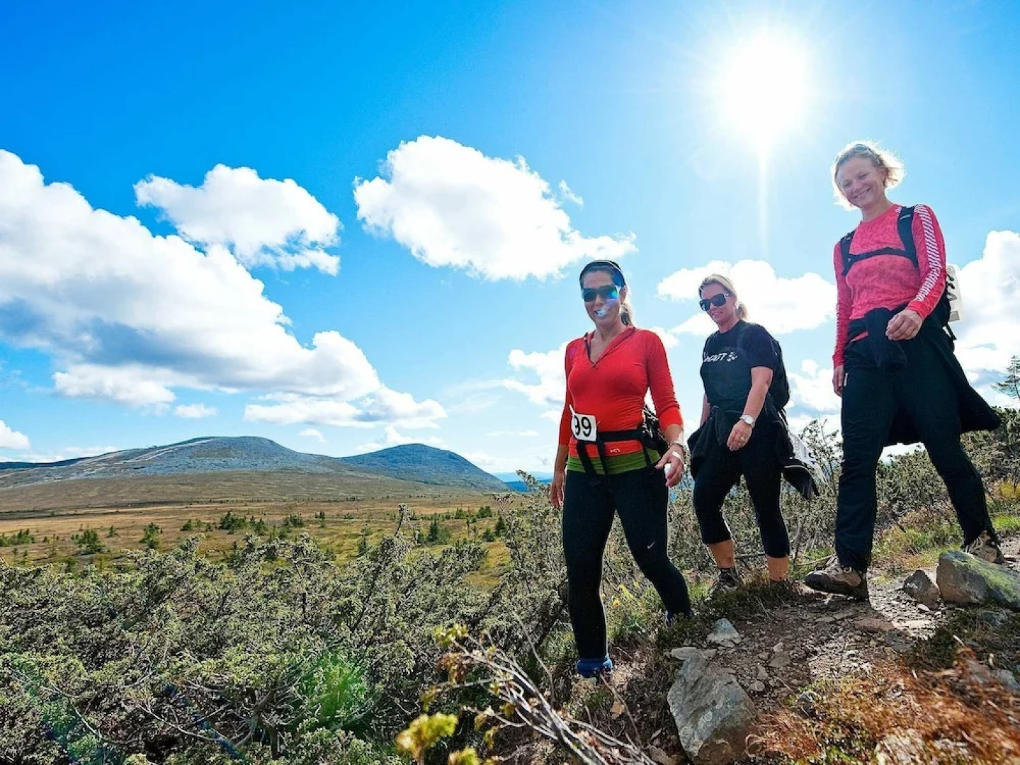 14 Person Holiday Home in Trysil