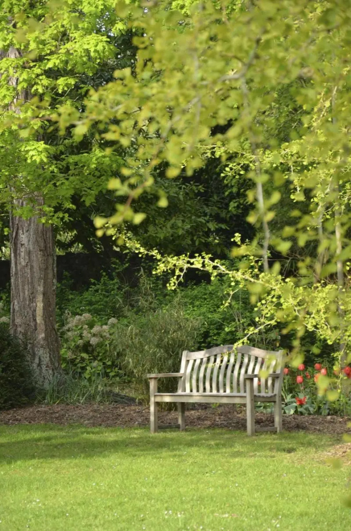 Château La Chenevière