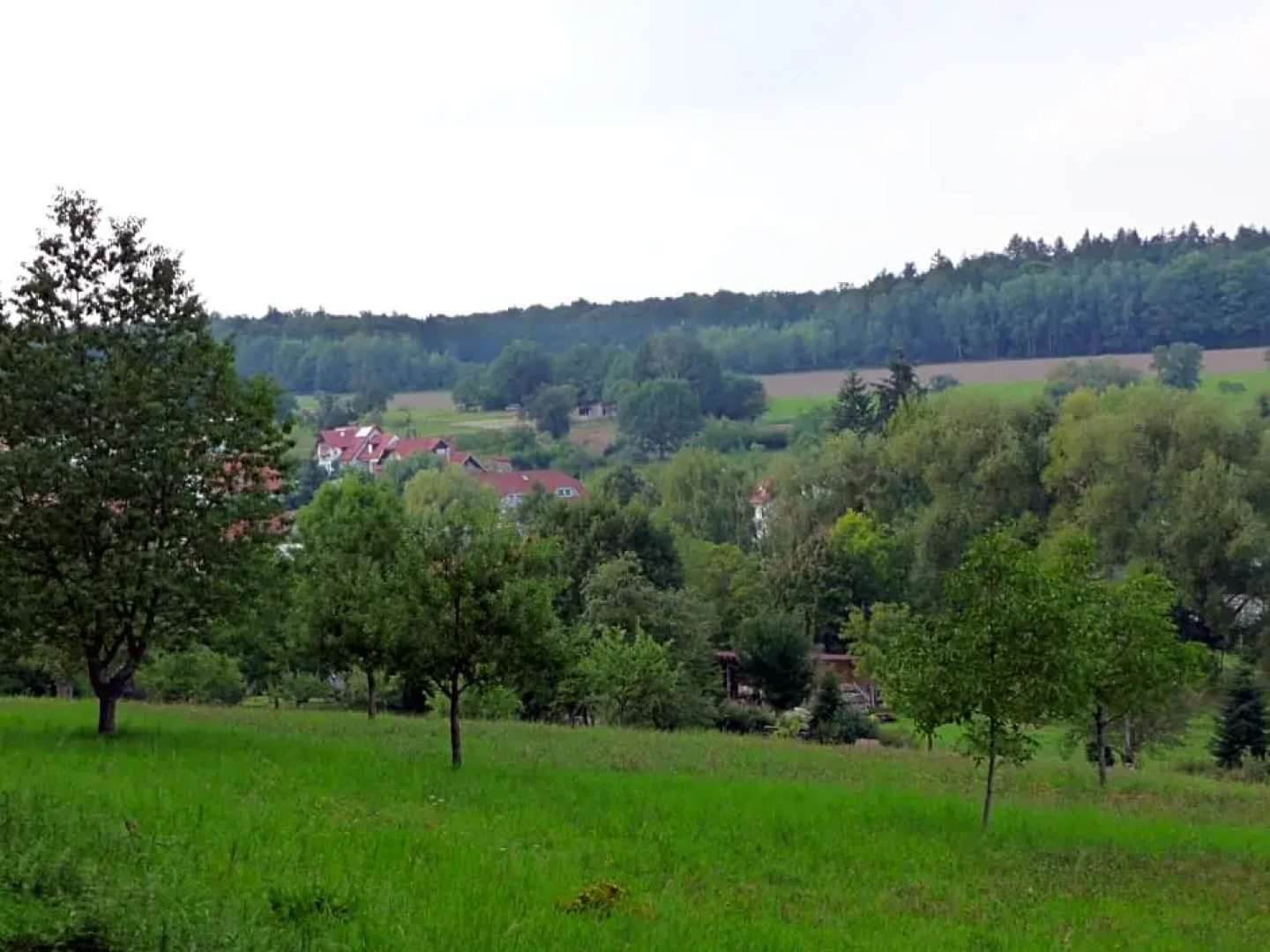 Hotel und Landgasthof Lindenhof