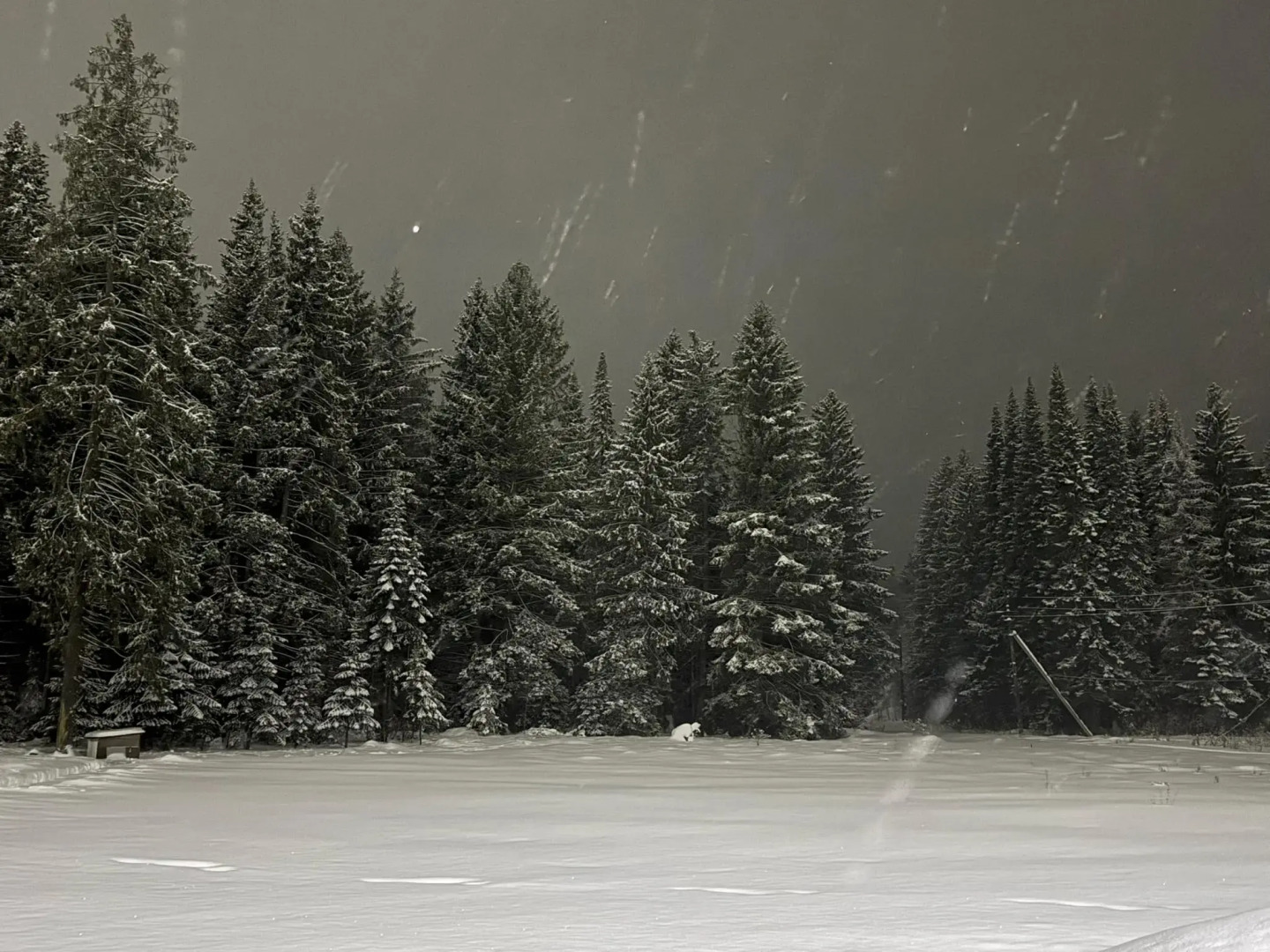 Постоялый двор