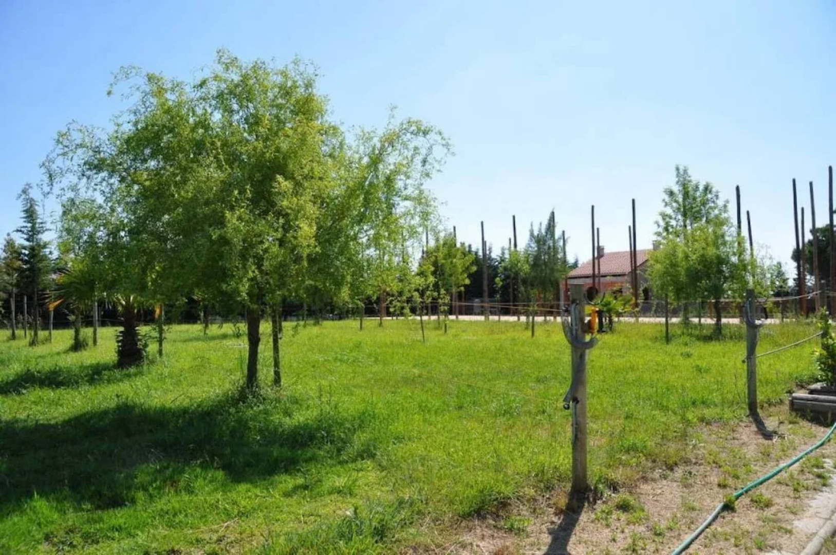 The Camp