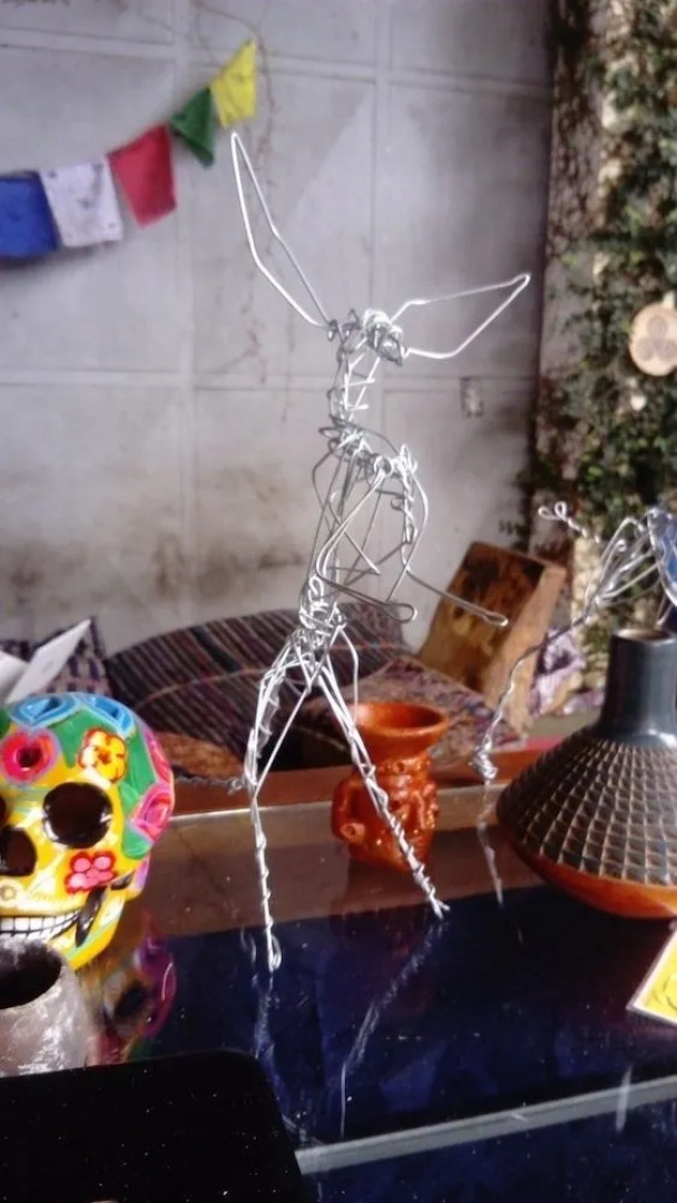 Beta Life Eco Proyecto Hostel