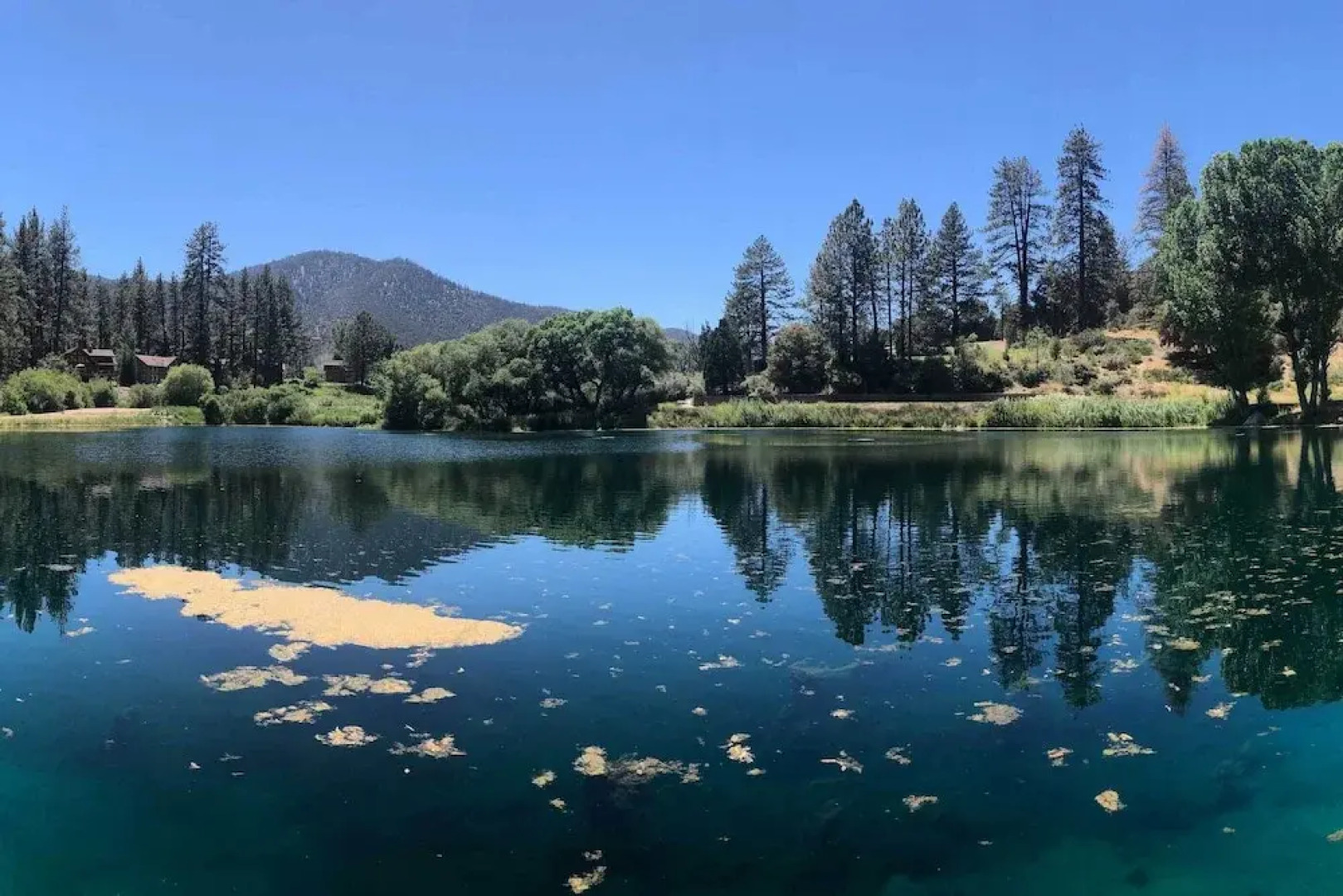 'star House' Unique Home w/ 360 Mountain Views!