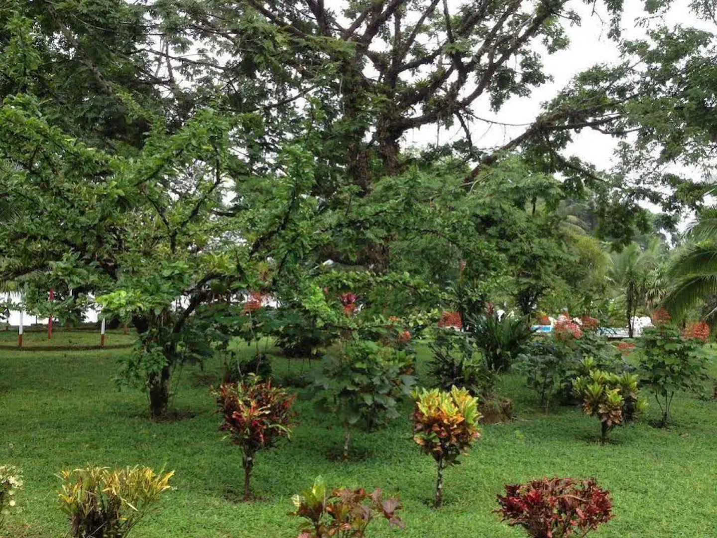 Ilan-Ilan Caribbean Lodge