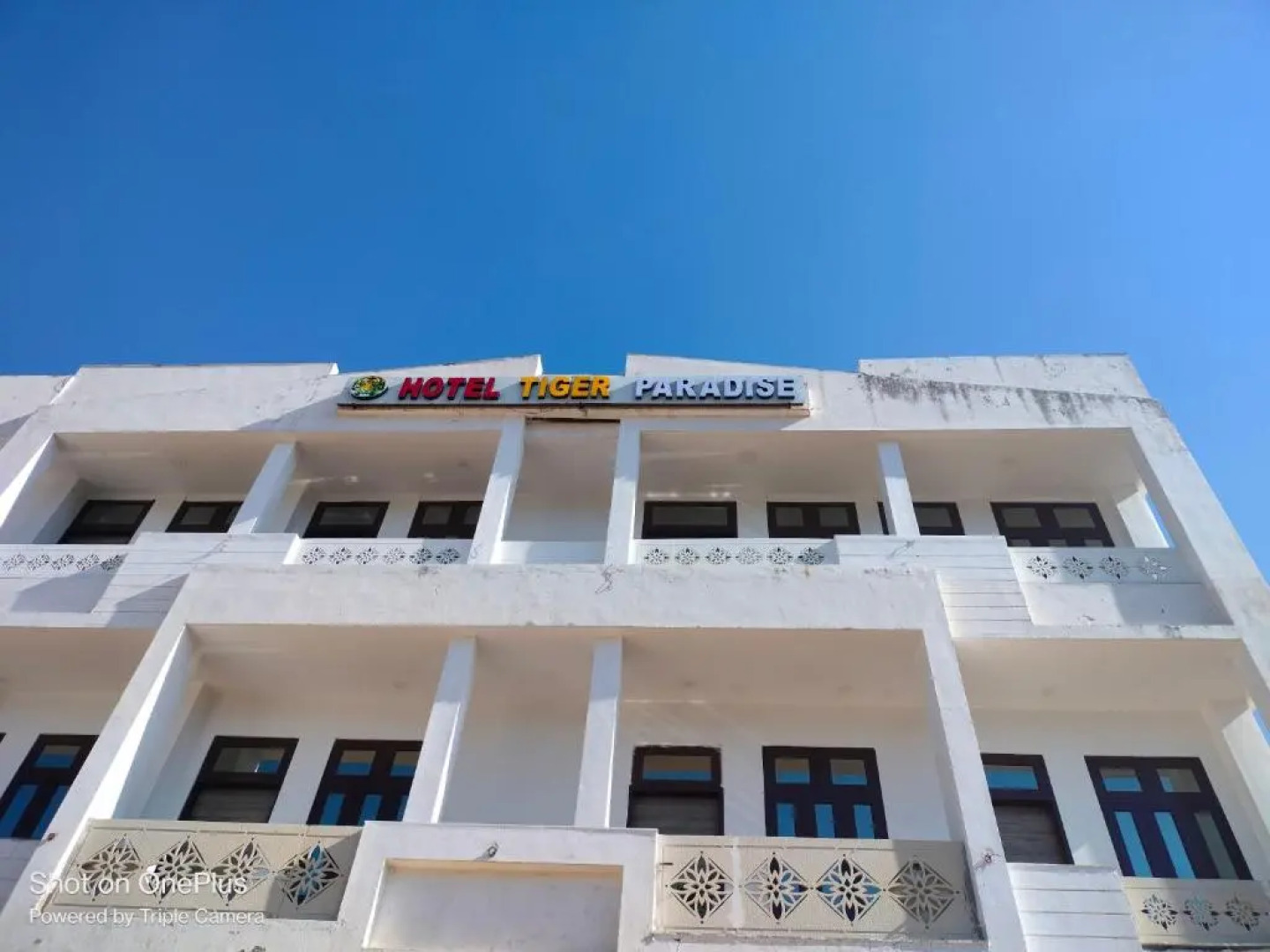 Tiger Paradise - Sariska Viratnagar