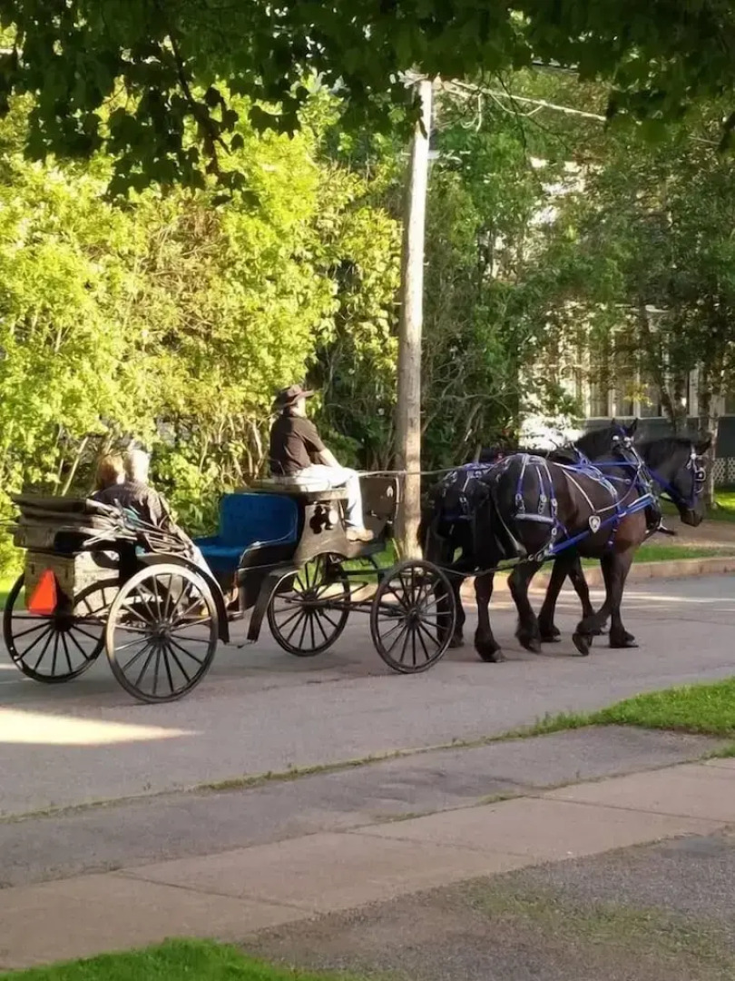 A1 Place That Feels Like Home