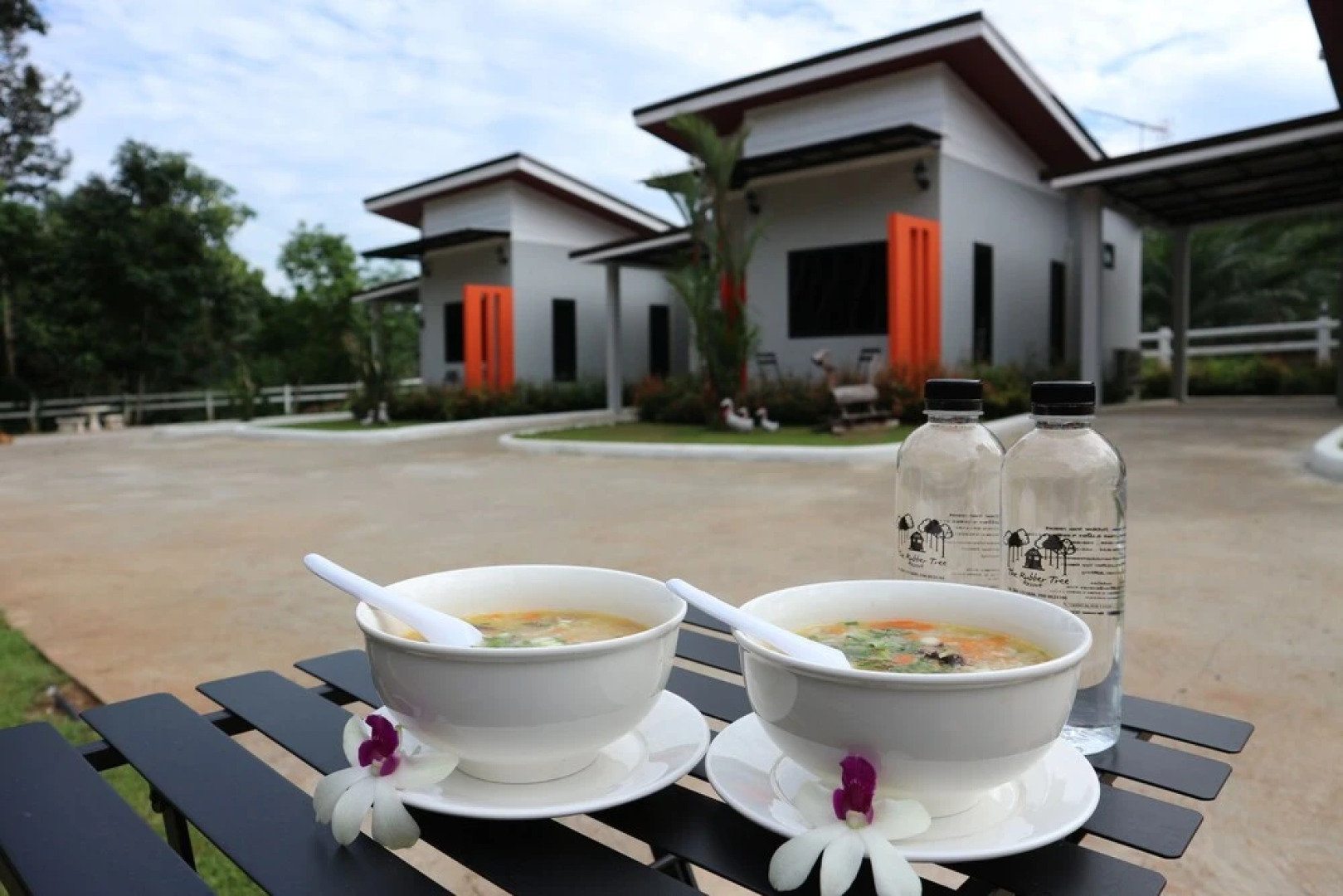 The Rubber Tree Resort