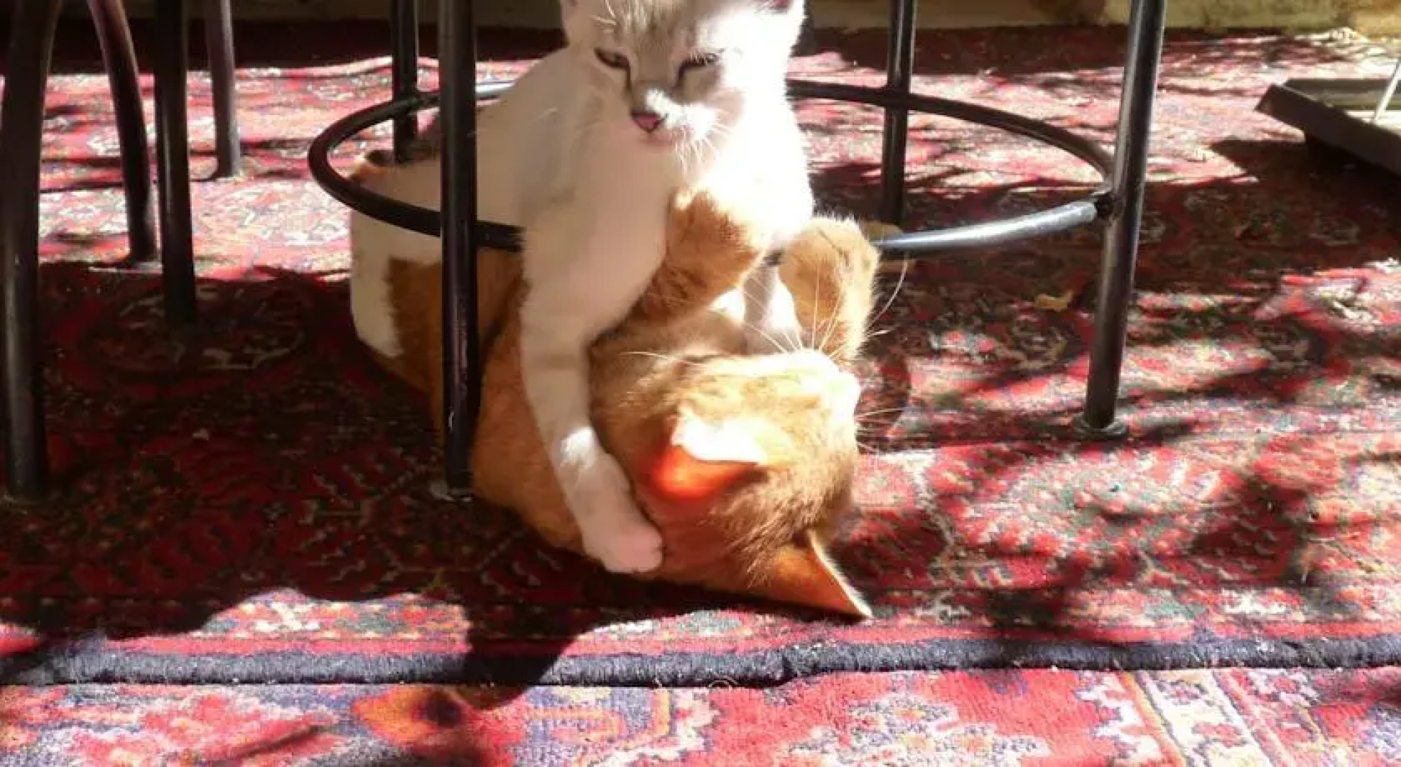 Aux Délices dExcideuil