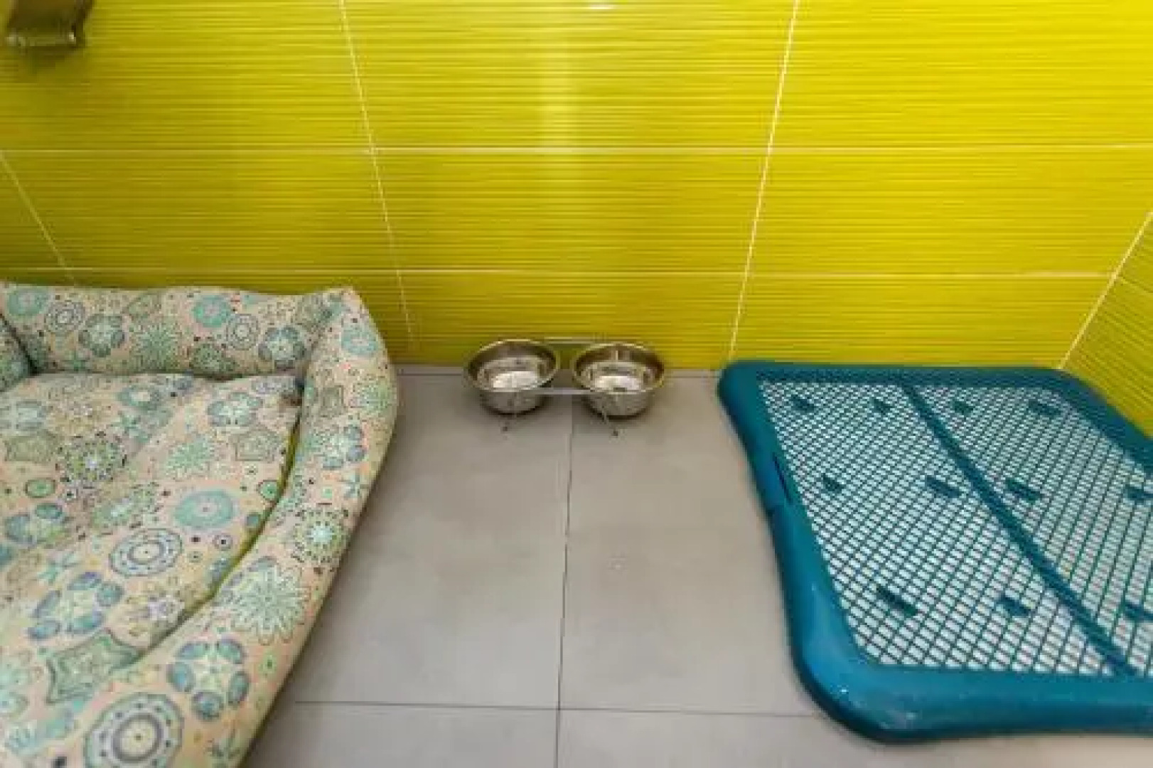 Casa Rural "El Paseo del libro"