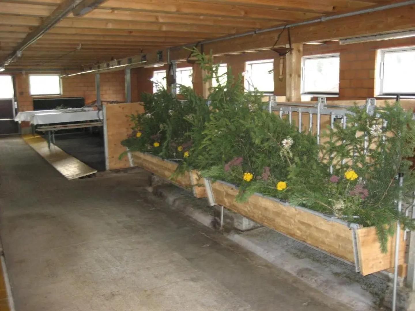 Hotel Restaurant Blümlisalp