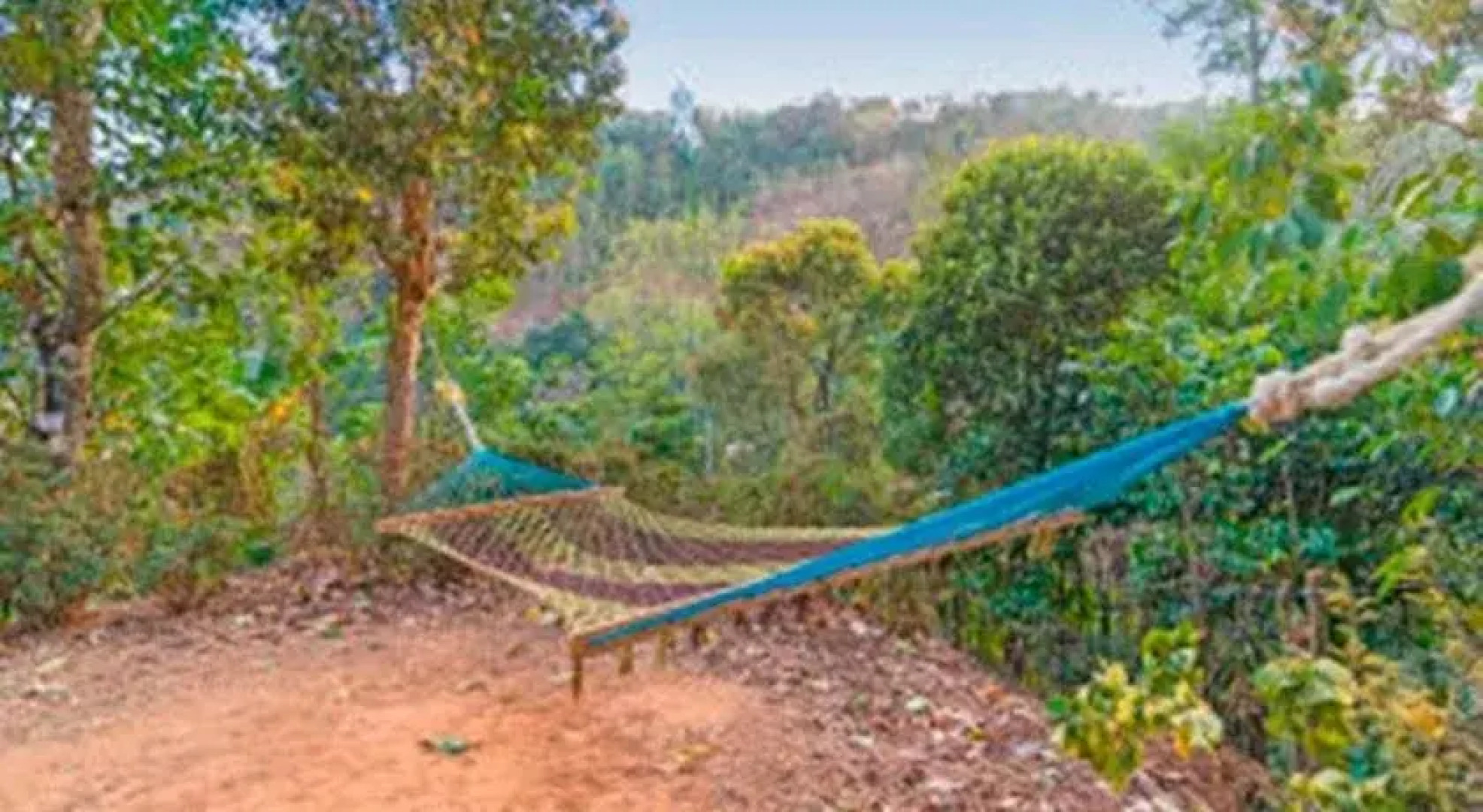 Sunleo Spice Villas & Homestay