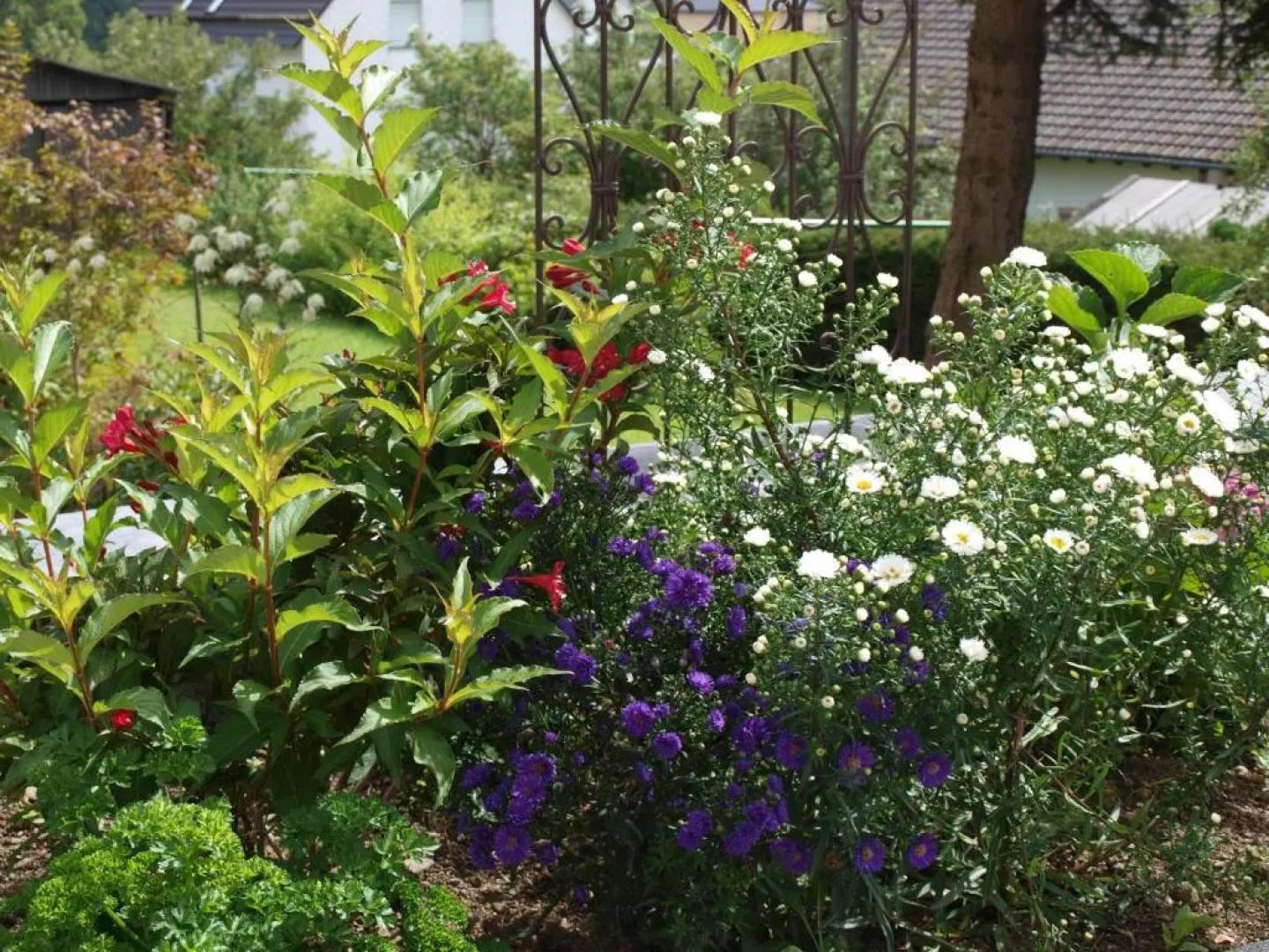 Ferienwohnung Zauberhaft