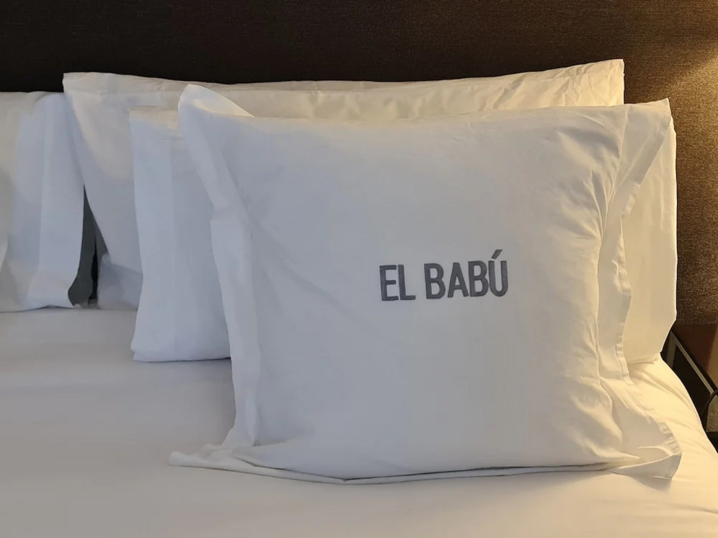 Hotel El Babú
