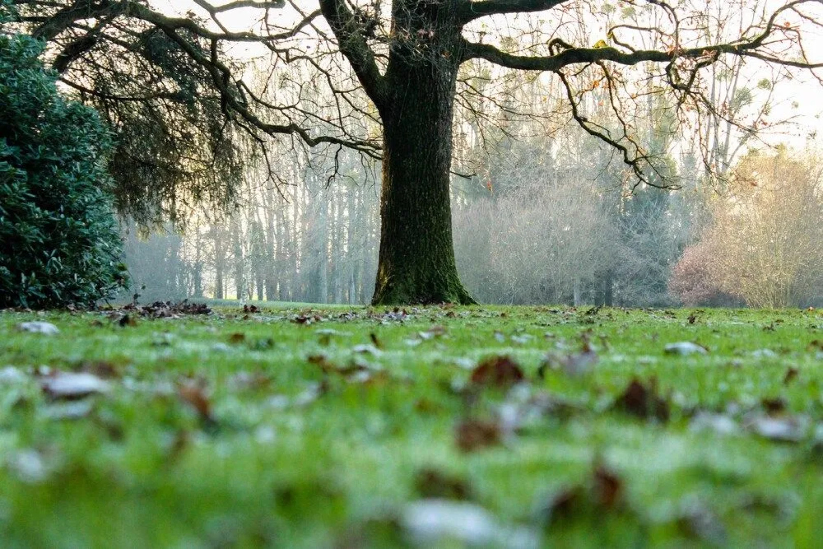 Château de la Chasse Beauvais