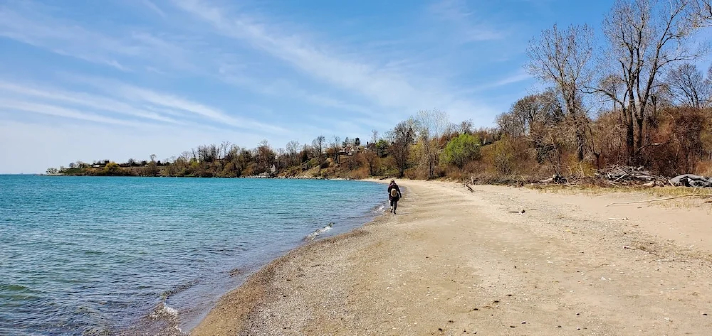 Park Bungalow #4 - Seacliff Beach Suites