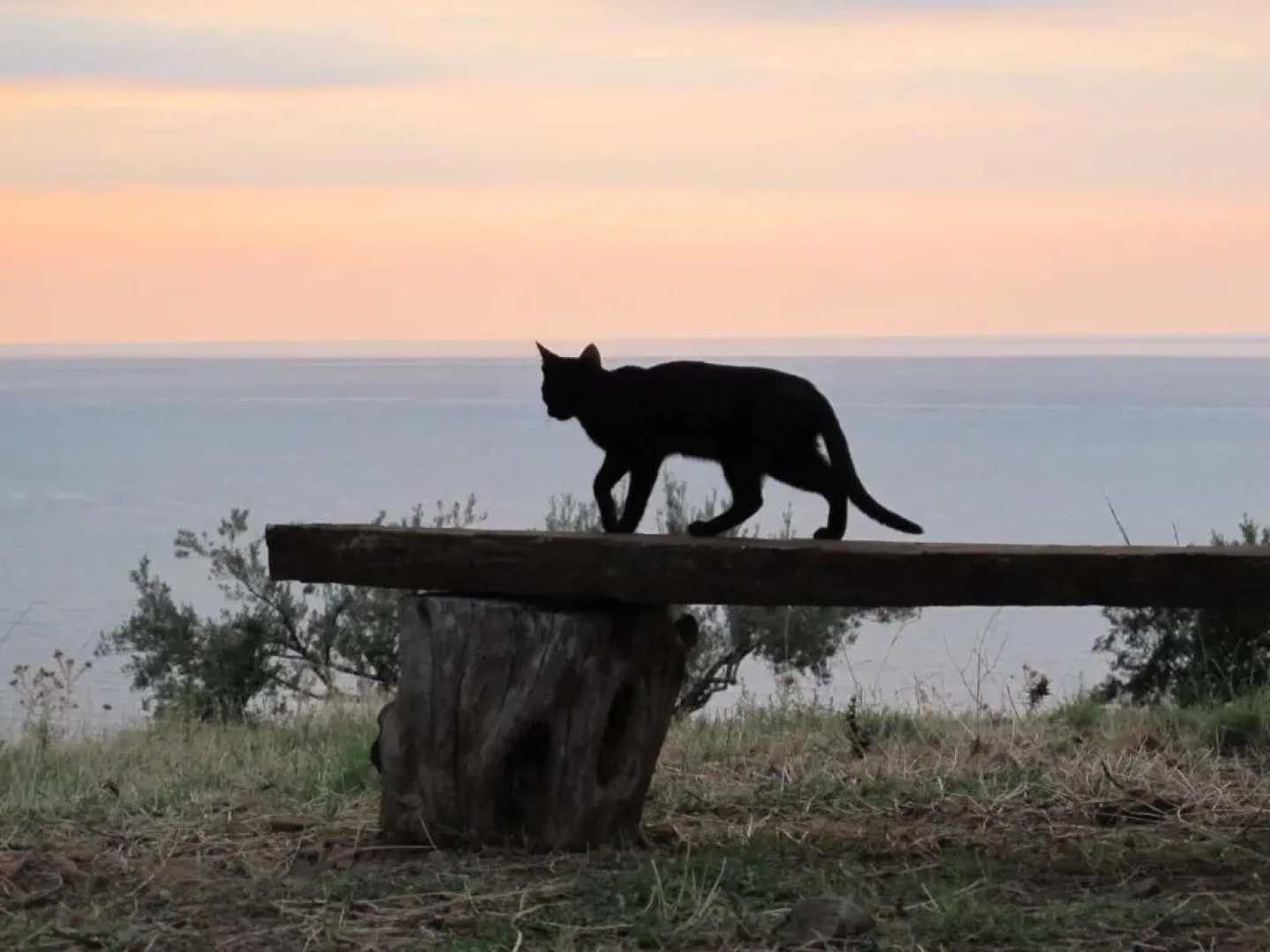 Holiday home Stella di Sicilia