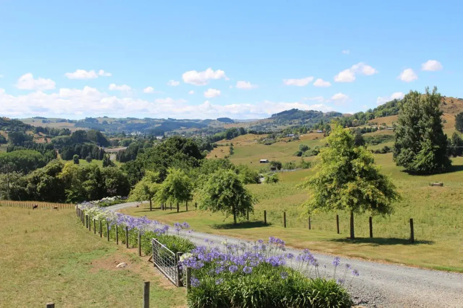 The Loft at Te Kumi Tirohanga