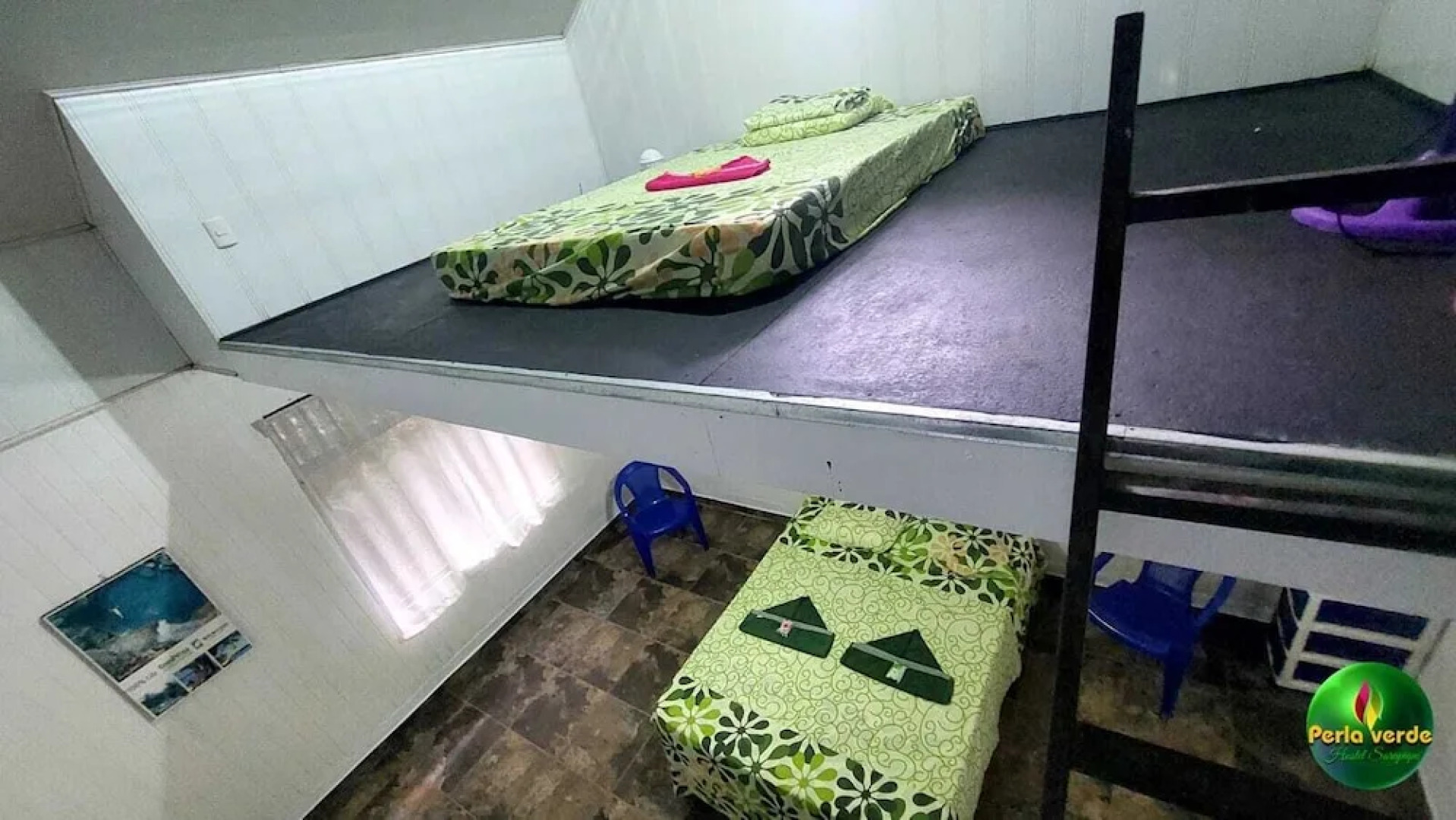 Perla verde hostel y tours en la zona