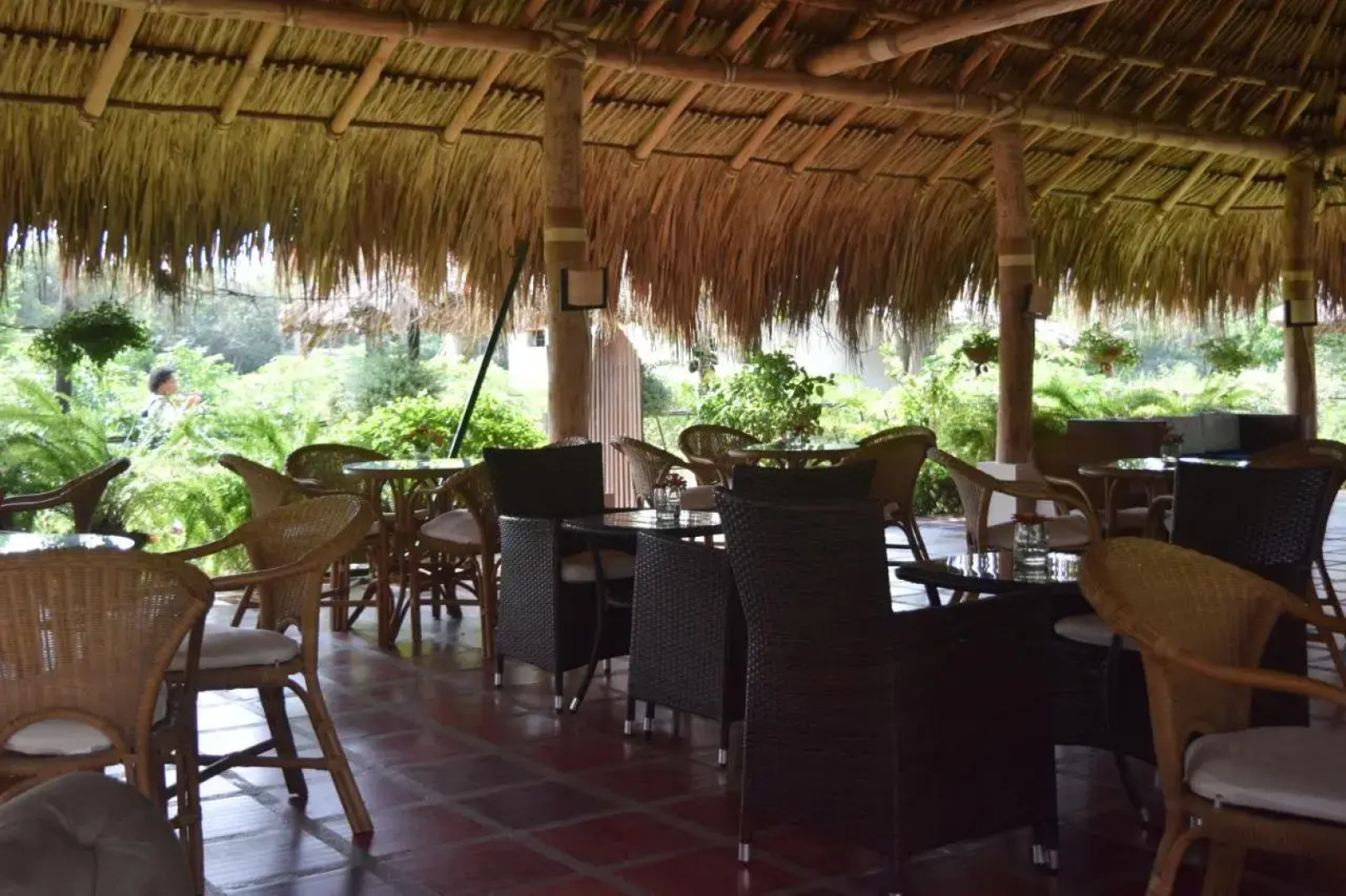 Palomino Breeze Hostal