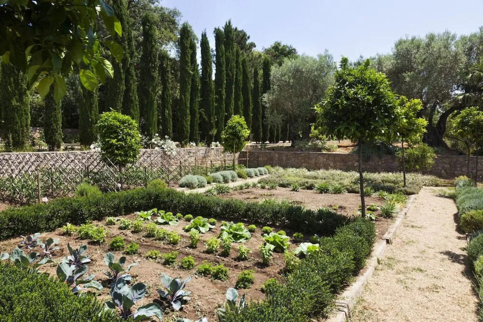 Domaine Les Mésanges