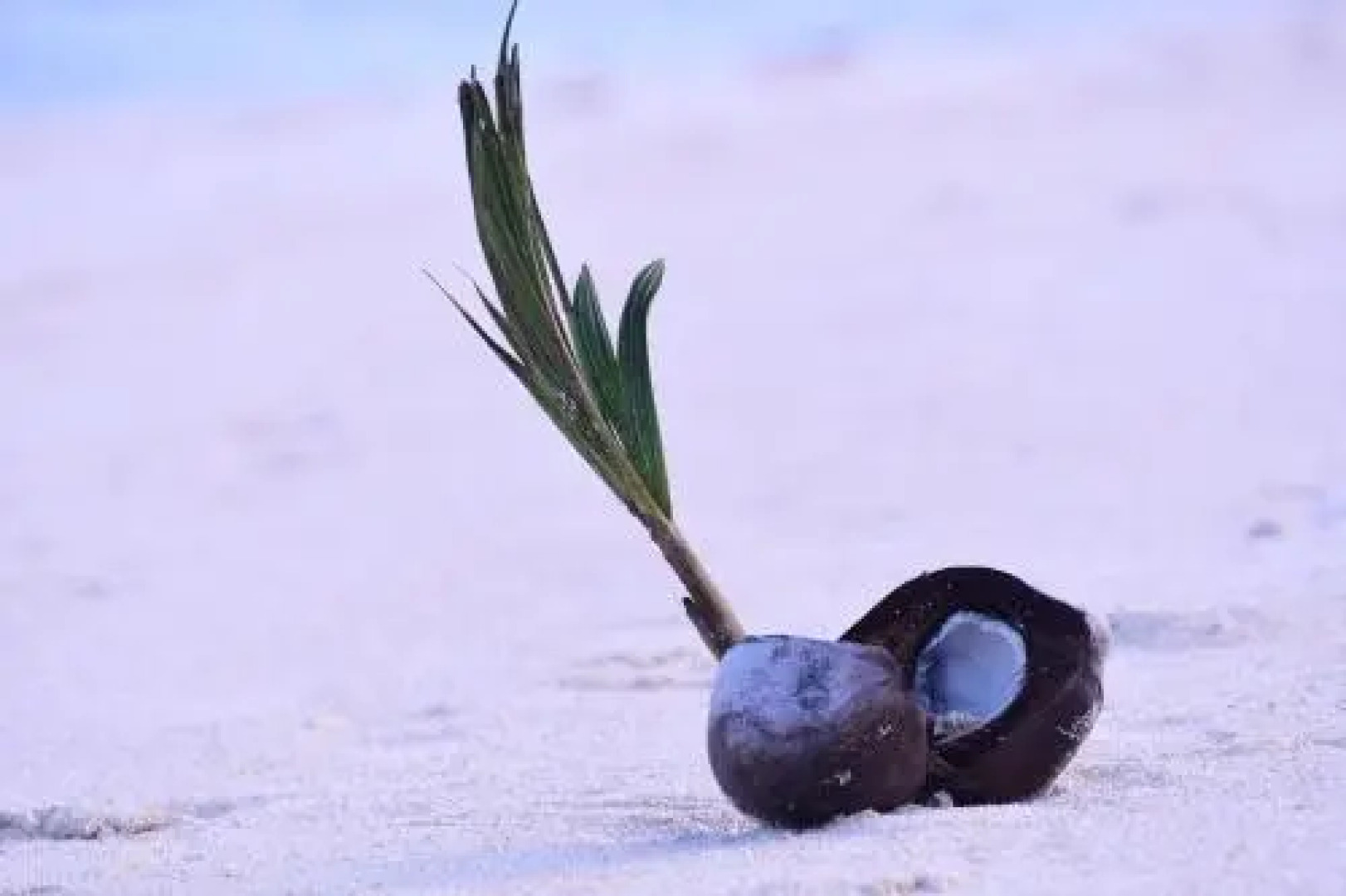 Port Olry Harbour Beach