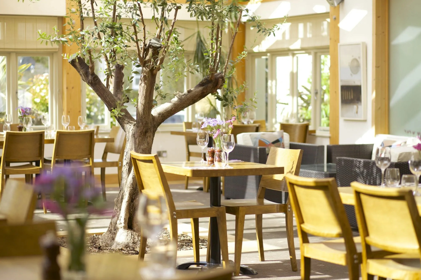 The Plume of Feathers