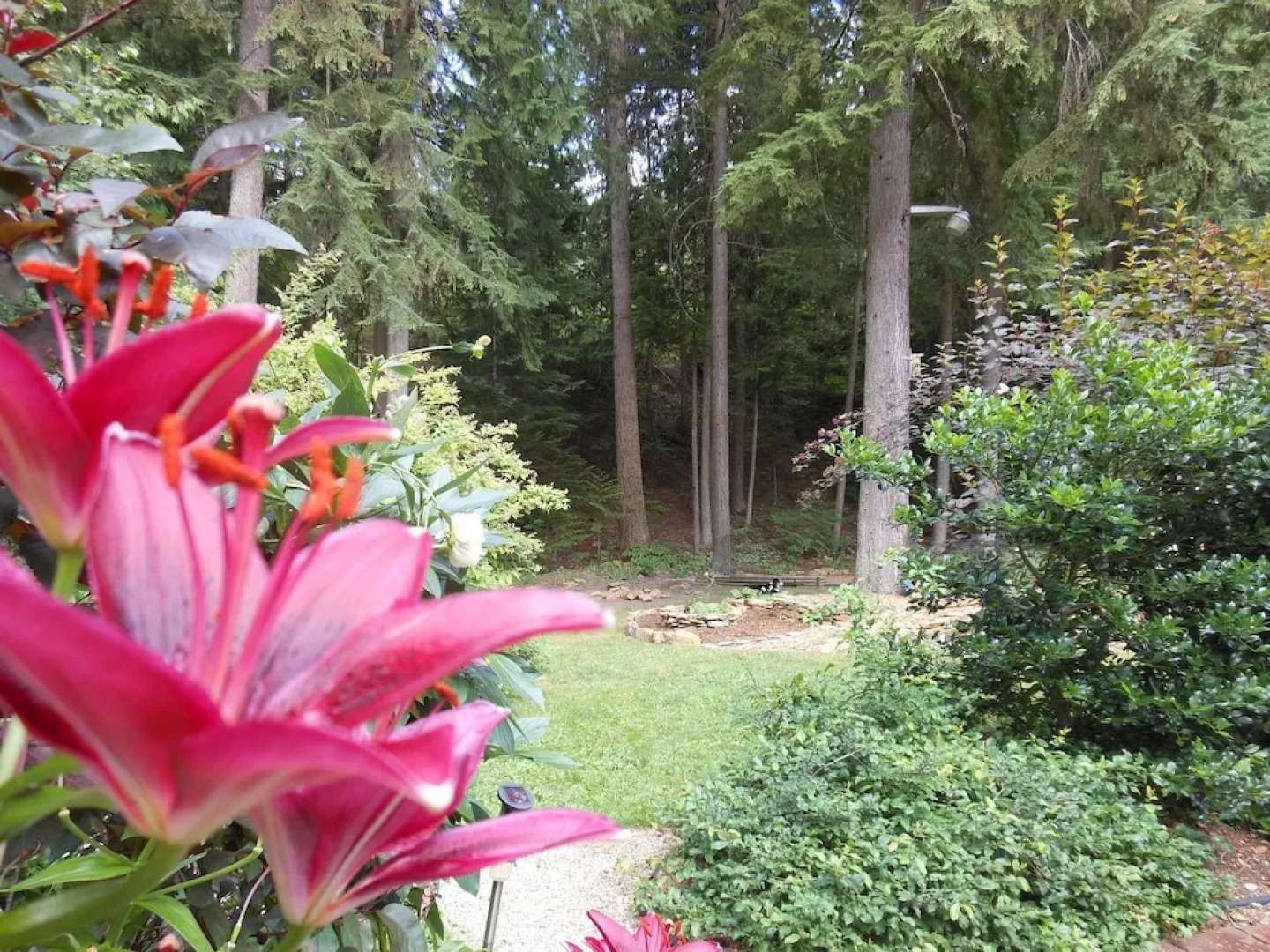 Guesthouse Mountain Escape