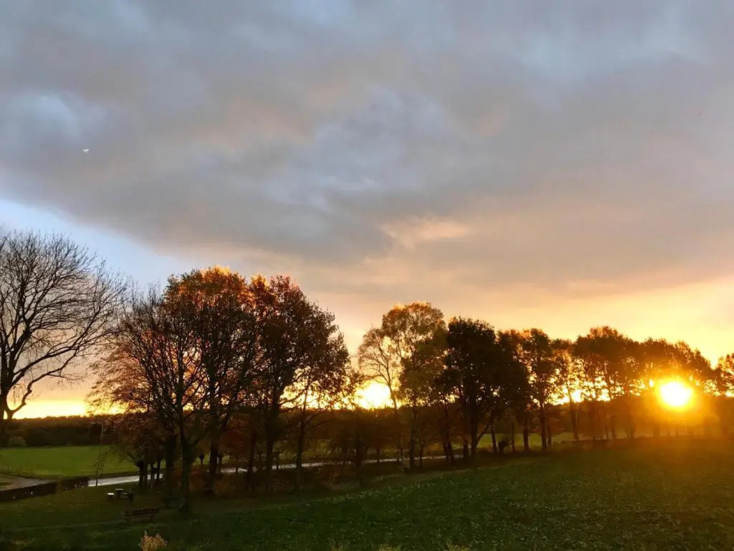 Appartementen De Zegelskoël
