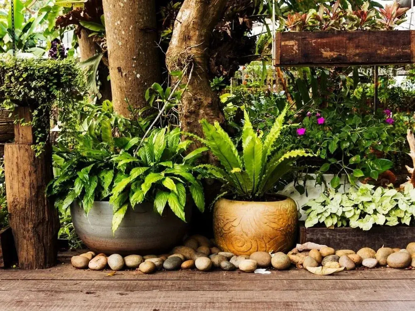 Tuskar House by the Sea