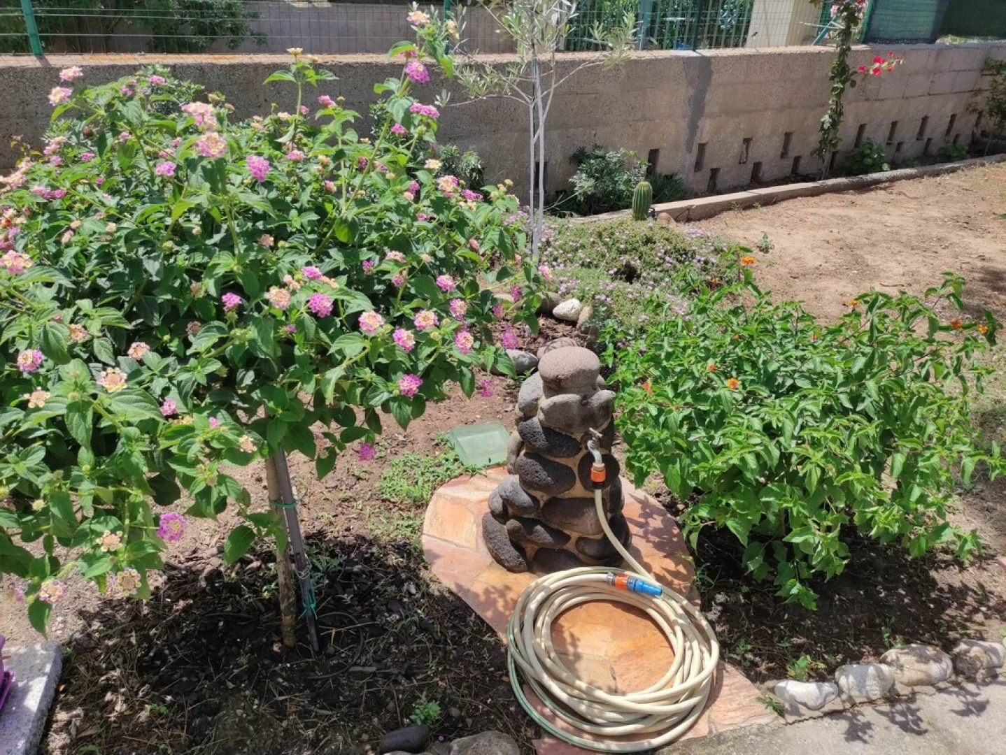 Porto Pino Sardinia Holiday Home