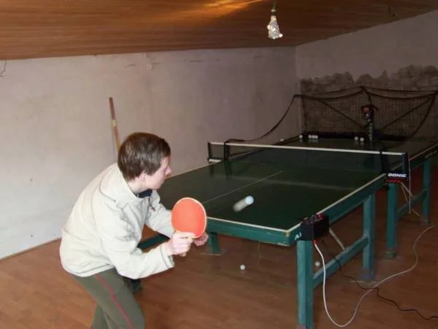 Restaurace a penzion U Lva