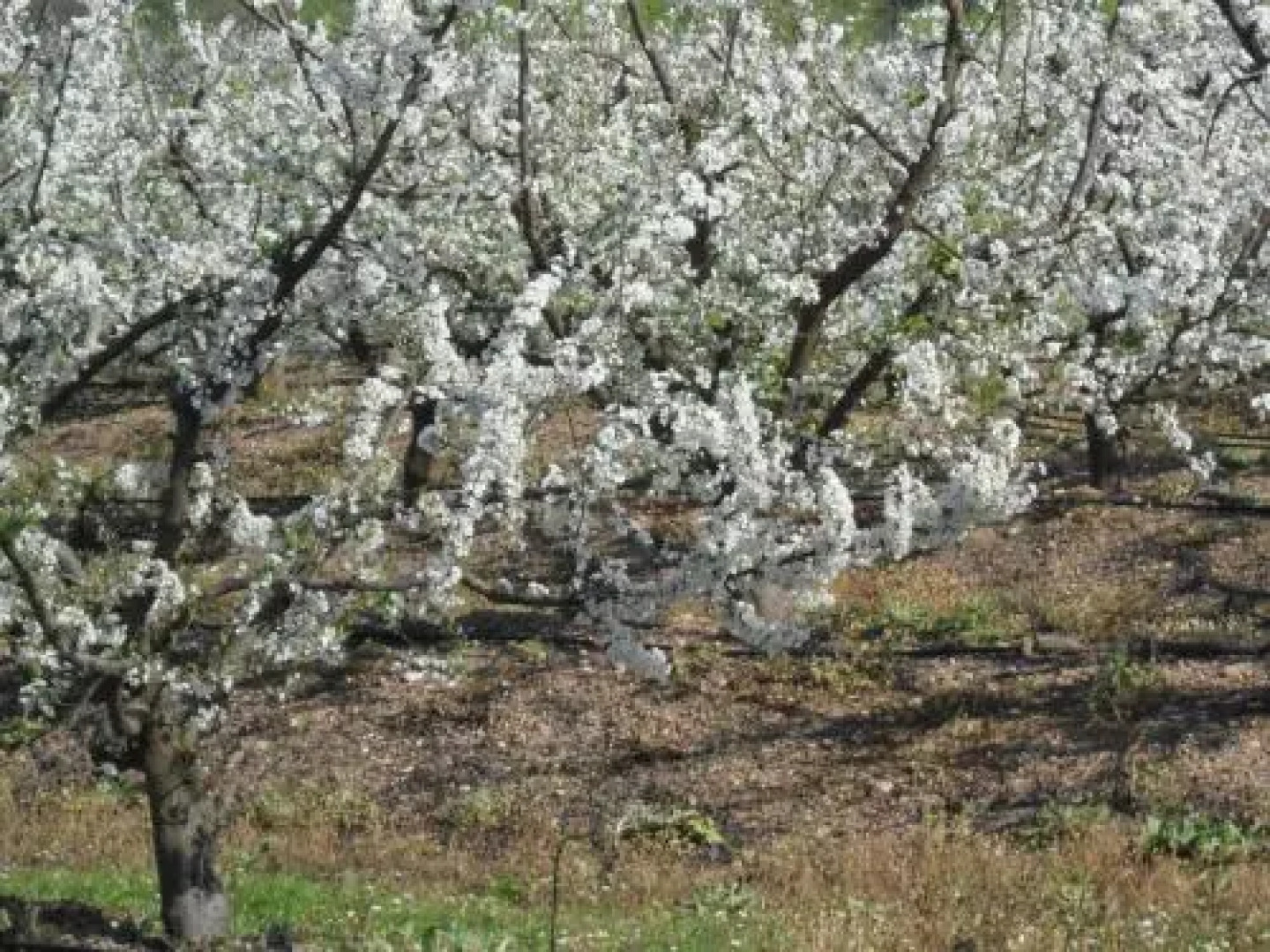 Casa Verde - Turismo de Habitacao