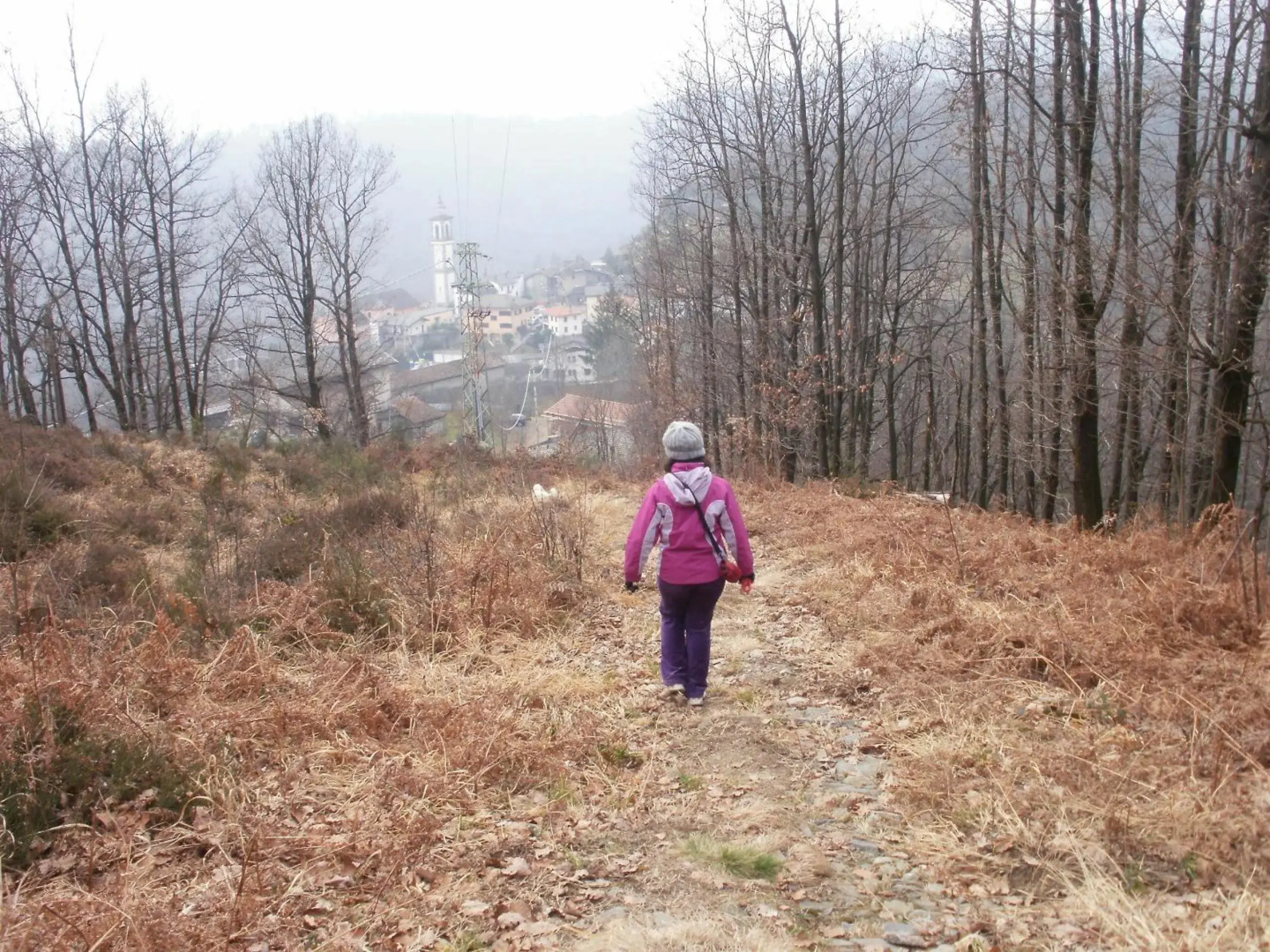 Appartamento bilocale Lucy LAGO MAGGIORE